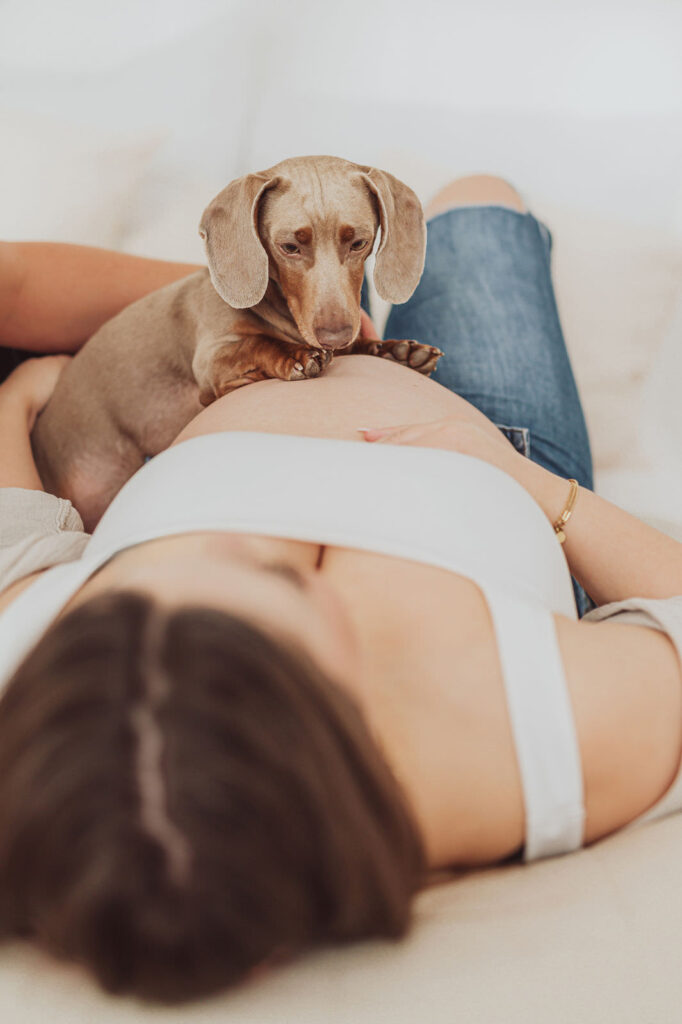 Fotoshooting mit Hund und Babybauch in Mecklenburg-Vorpommern MV