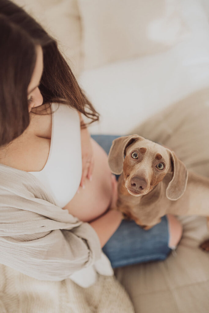 Fotoshooting mit Hund und Babybauch in Rostock