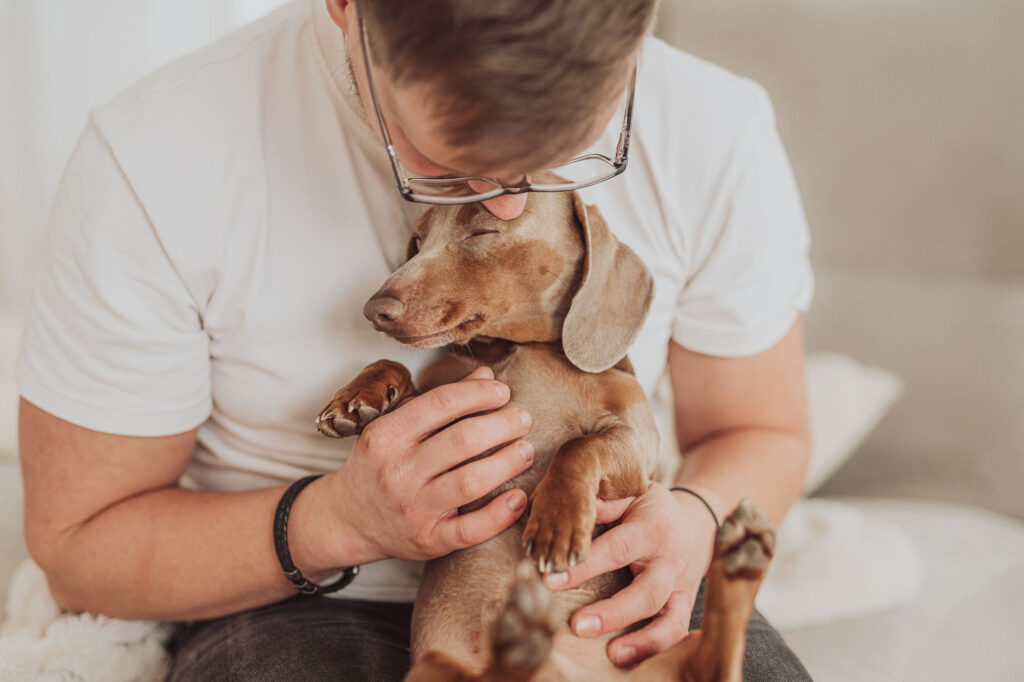 Hundefotograf mit Fotostudio in Rostock