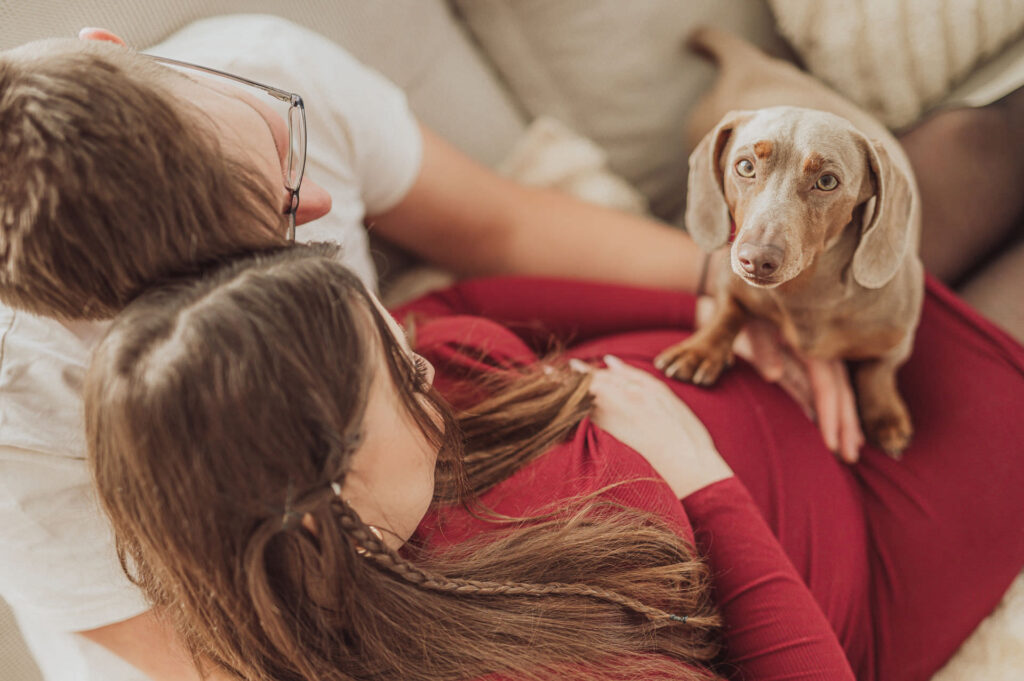 Babybauch Shooting mit Hund im Fotostudio Rostock