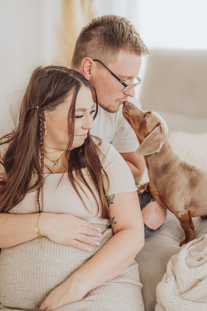 Babybauch Shooting mit Hund im Fotostudio Rostock