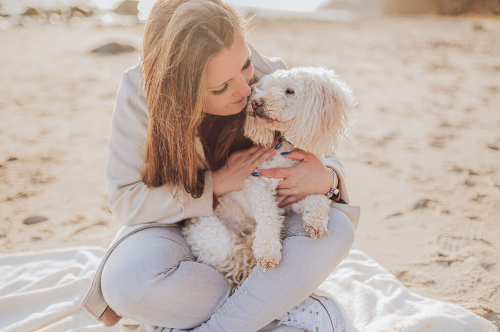 Fotoshooting mit Hund auf der Insel Rügen