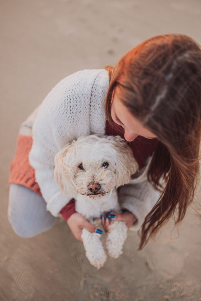 Erinnerungen an den Urlaub mit Hund auf Rügen