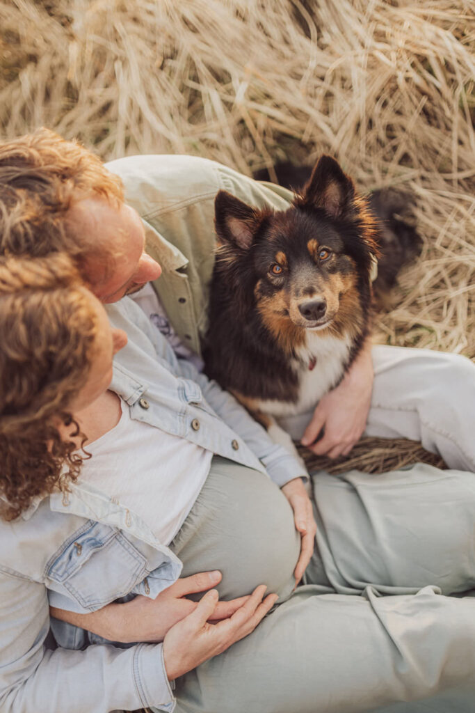Outdoor Babybauchfotos mit Hund – Shooting in Rostocks Umgebung