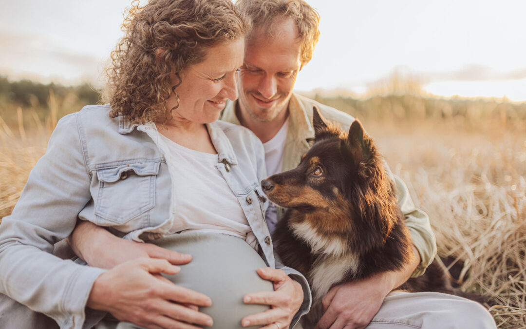Babybauch Shooting Rostock – mit Hund fotografiert