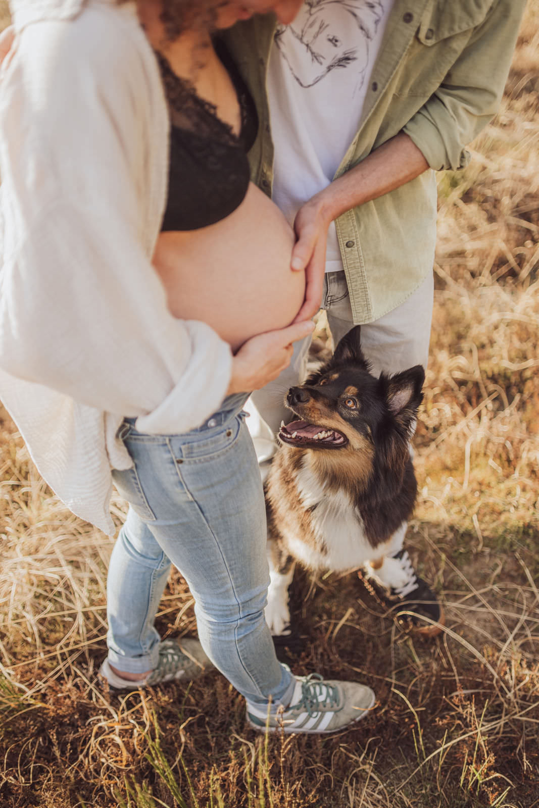 Paarshooting mit Babybauch und Hund – echte Familienmomente vor der Geburt