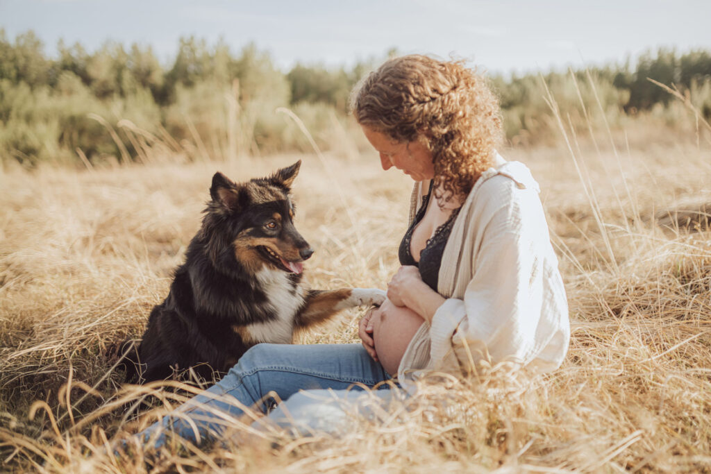 Familienzuwachs auf zwei & vier Beinen – Babybauch und Hund gemeinsam im Bild