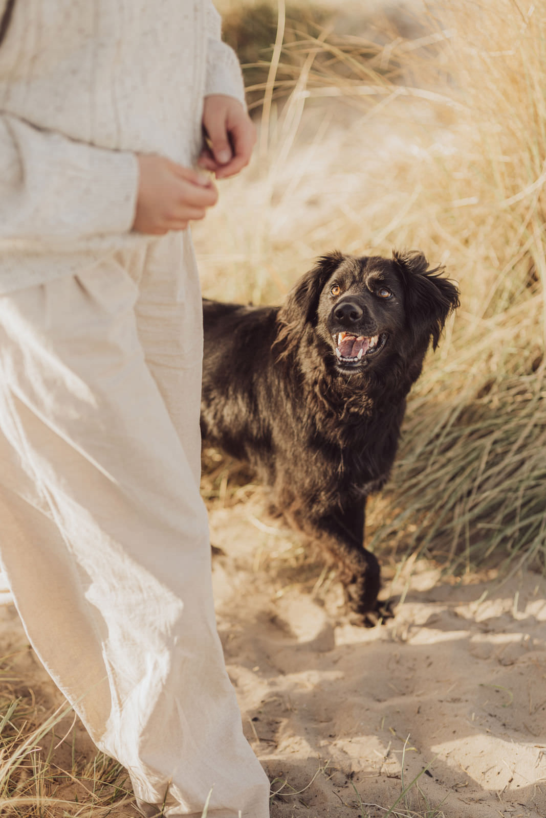 Fotoshooting mit Hund in Holland 2 Hundefotografie in den Dünen – Shootingreise nach Holland mit deiner Hundefotografin