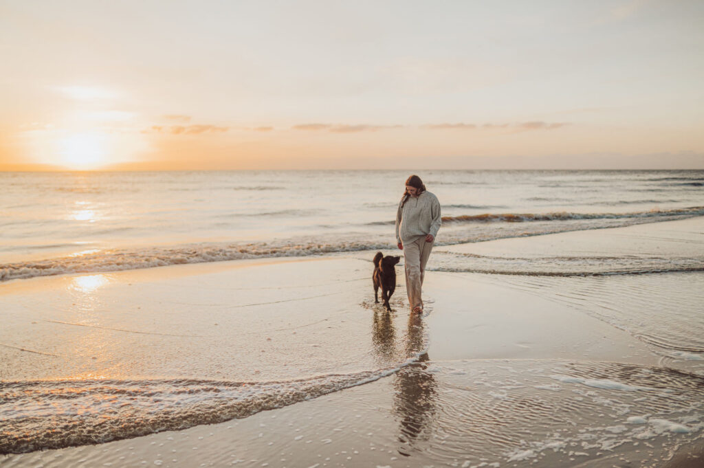 Fotoshooting mit Hund in Holland 18 Flat Coated Retriever läuft am Strand in Egmond aan Zee – Fotoshooting Hund in Holland