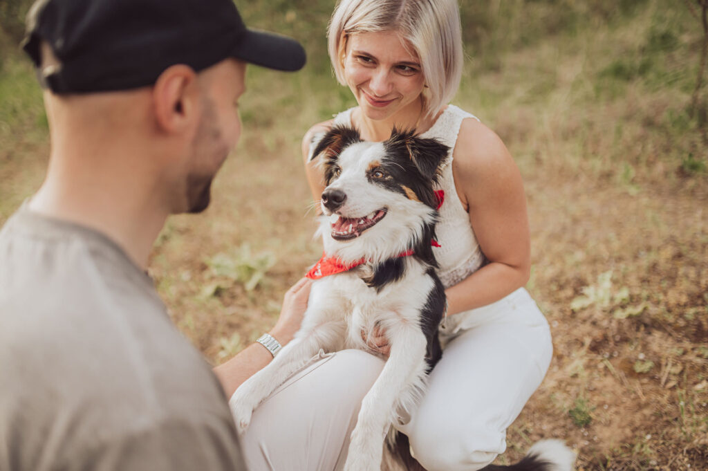 Fotoshooting mit Hund Frankfurt 3 Fotoshooting mit Hund in Frankfurt – Bindung und Leichtigkeit im Fokus