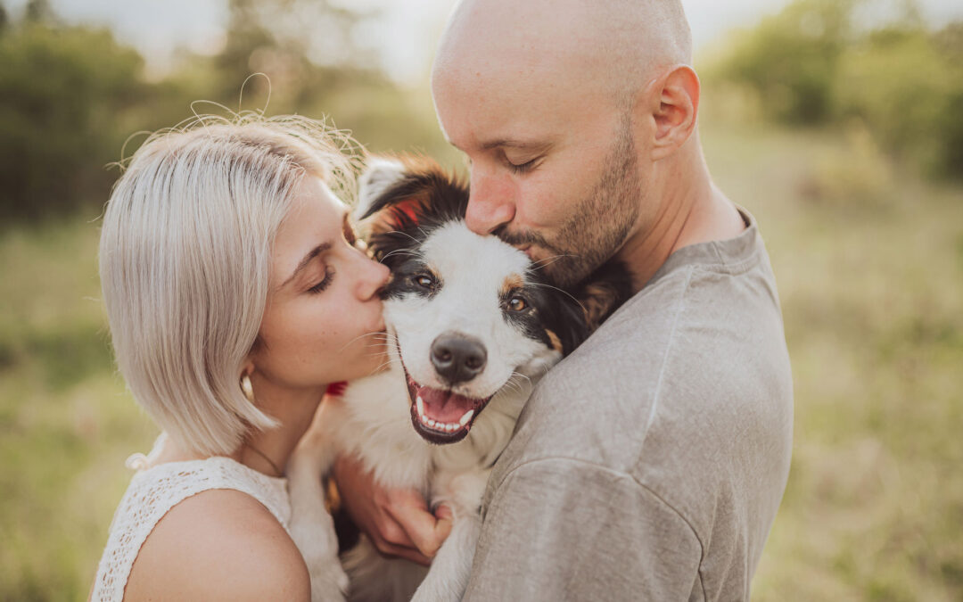 Fotoshooting mit Hund Frankfurt