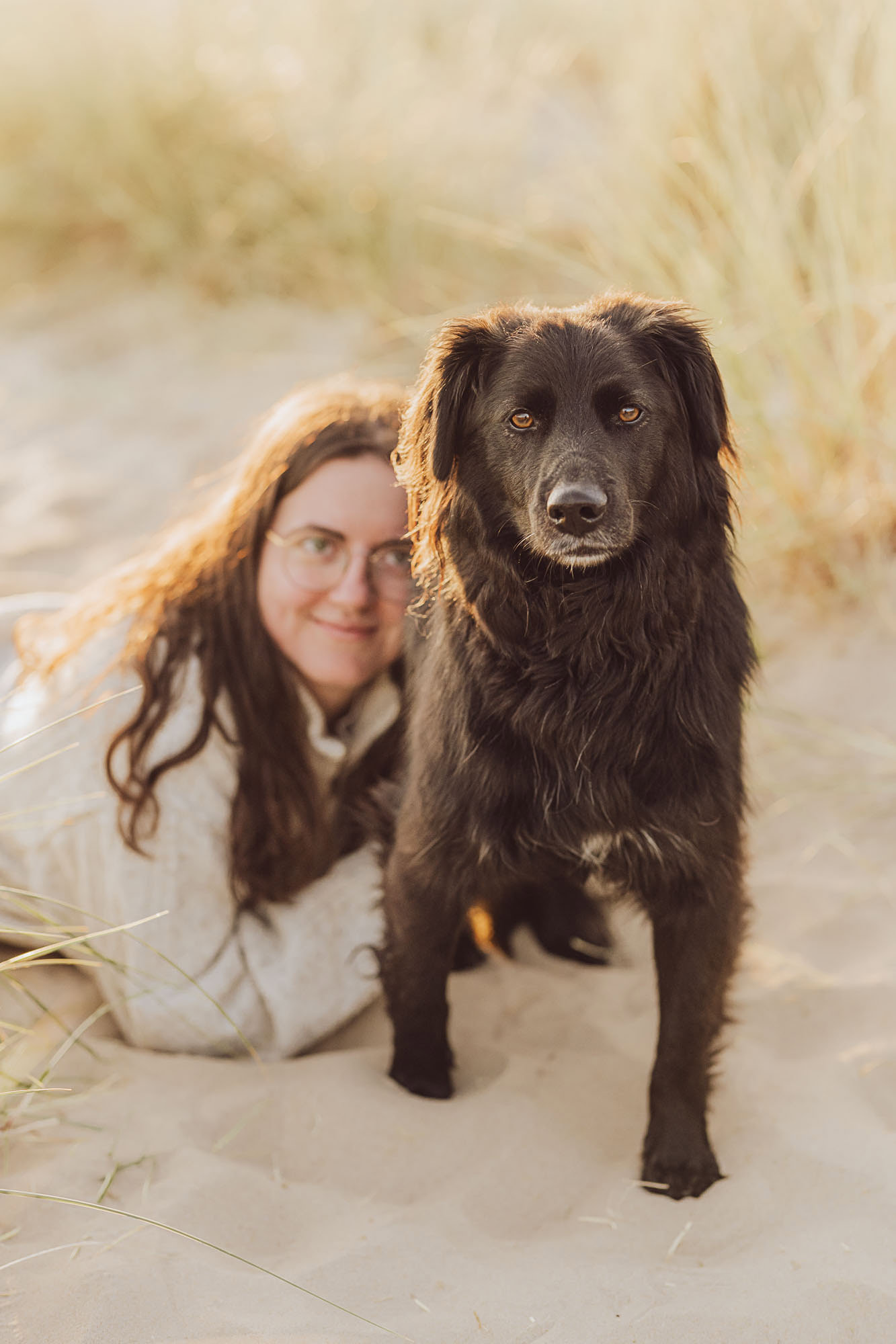 Fotoshooting-mit-Hund-Ostsee-Holland-Nordsee-Hundefotograf-Tierfotograf Fotoshooting mit Hund am Strand - Holland Nordsee