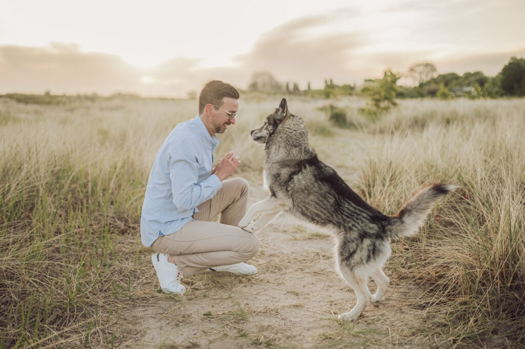 Hundefotograf Kiel – Fotoshooting mit Huskies in Laboe Husky im Porträt – natürliche Hundebilder an der Ostsee