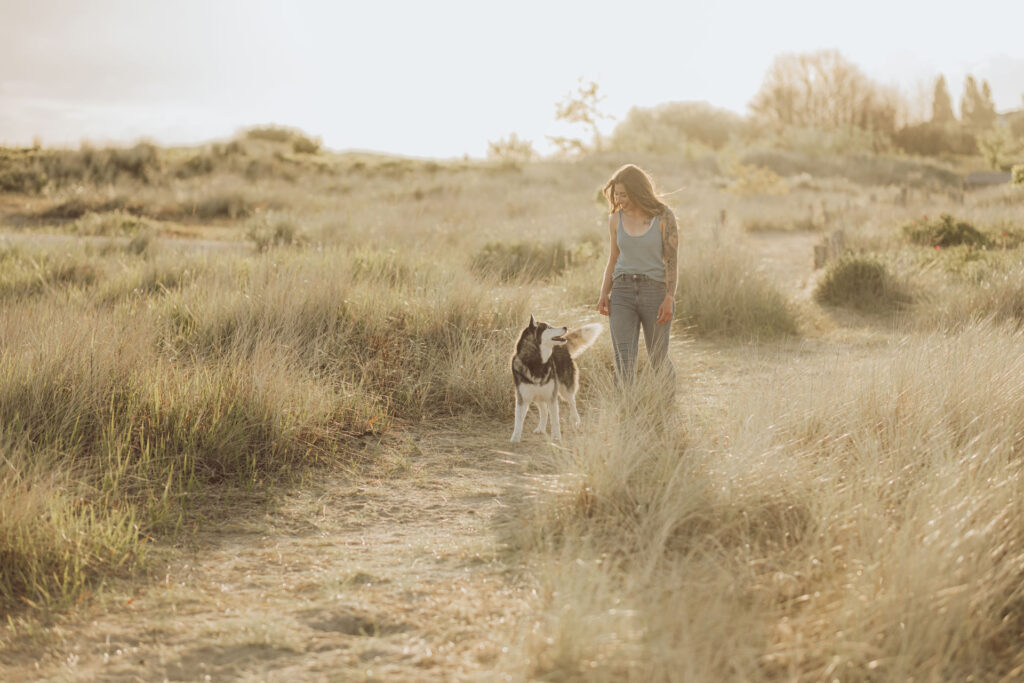 Hundefotograf Kiel – Fotoshooting mit Huskies in Laboe Fotoshooting Hund Laboe – Rudelaufnahmen bei Sonnenaufgang