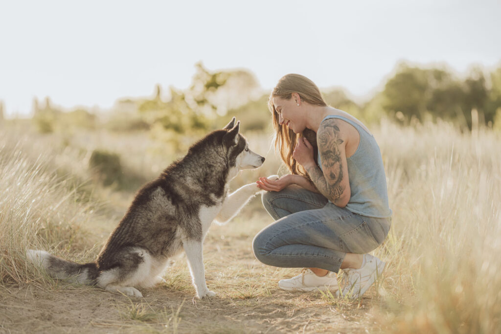 Hundefotograf Kiel – Fotoshooting mit Huskies in Laboe Natürliches Fotoshooting mit Hund in Laboe bei Kiel