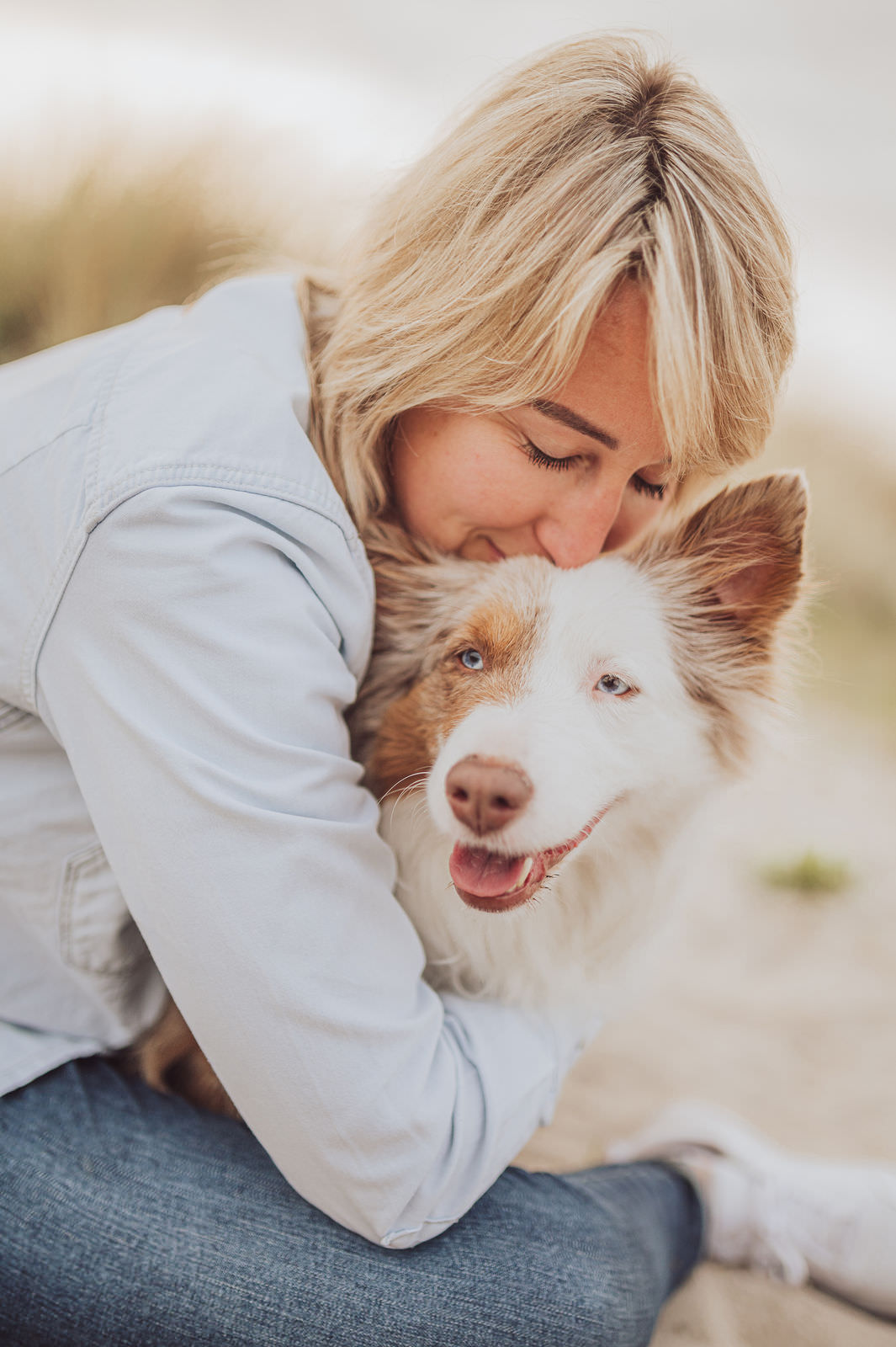 Mini Aussie Porträt am Meer – Hundefotografie Ostsee