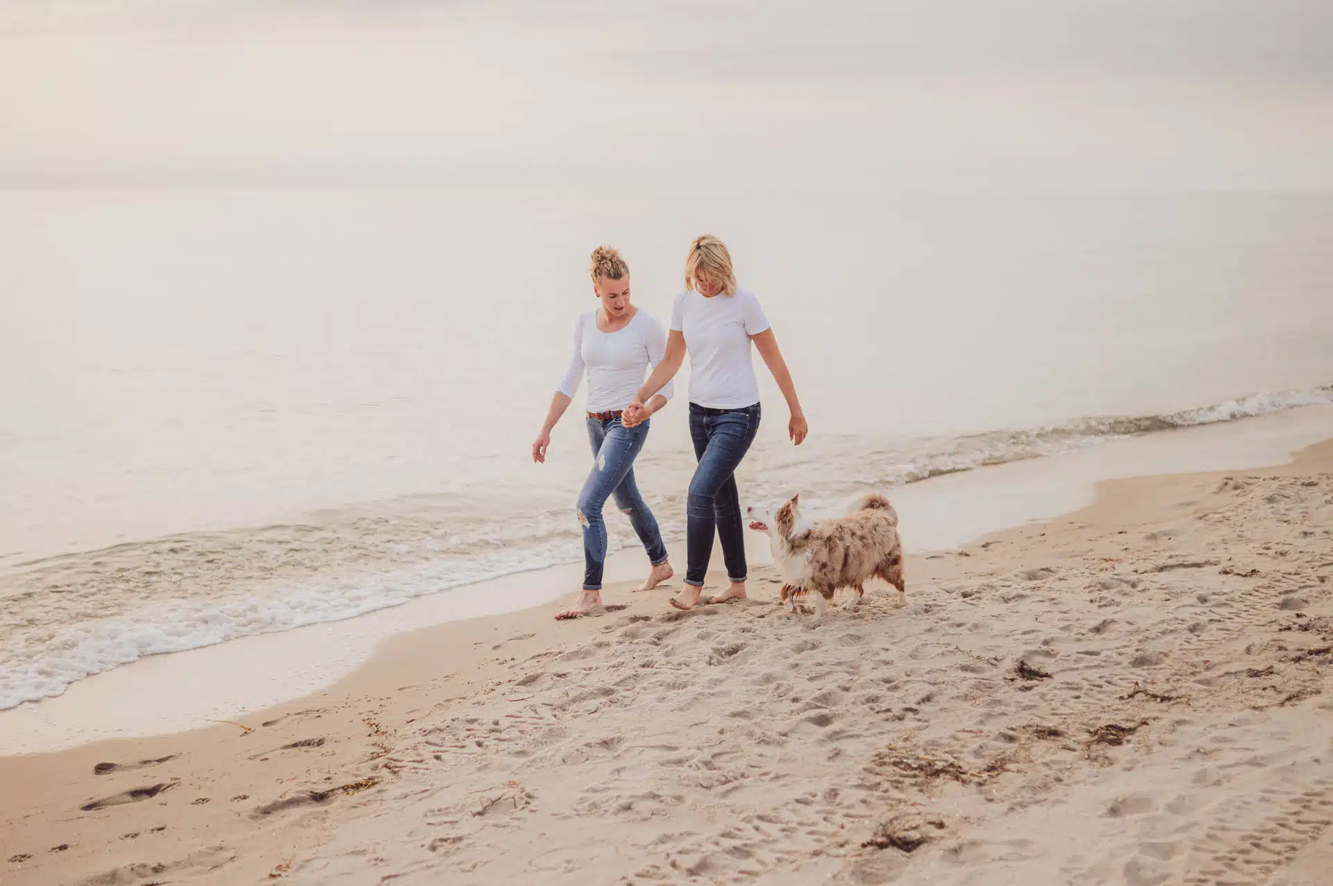 Geschenkidee Fotoshooting mit Hund – Maya läuft durch den Sand