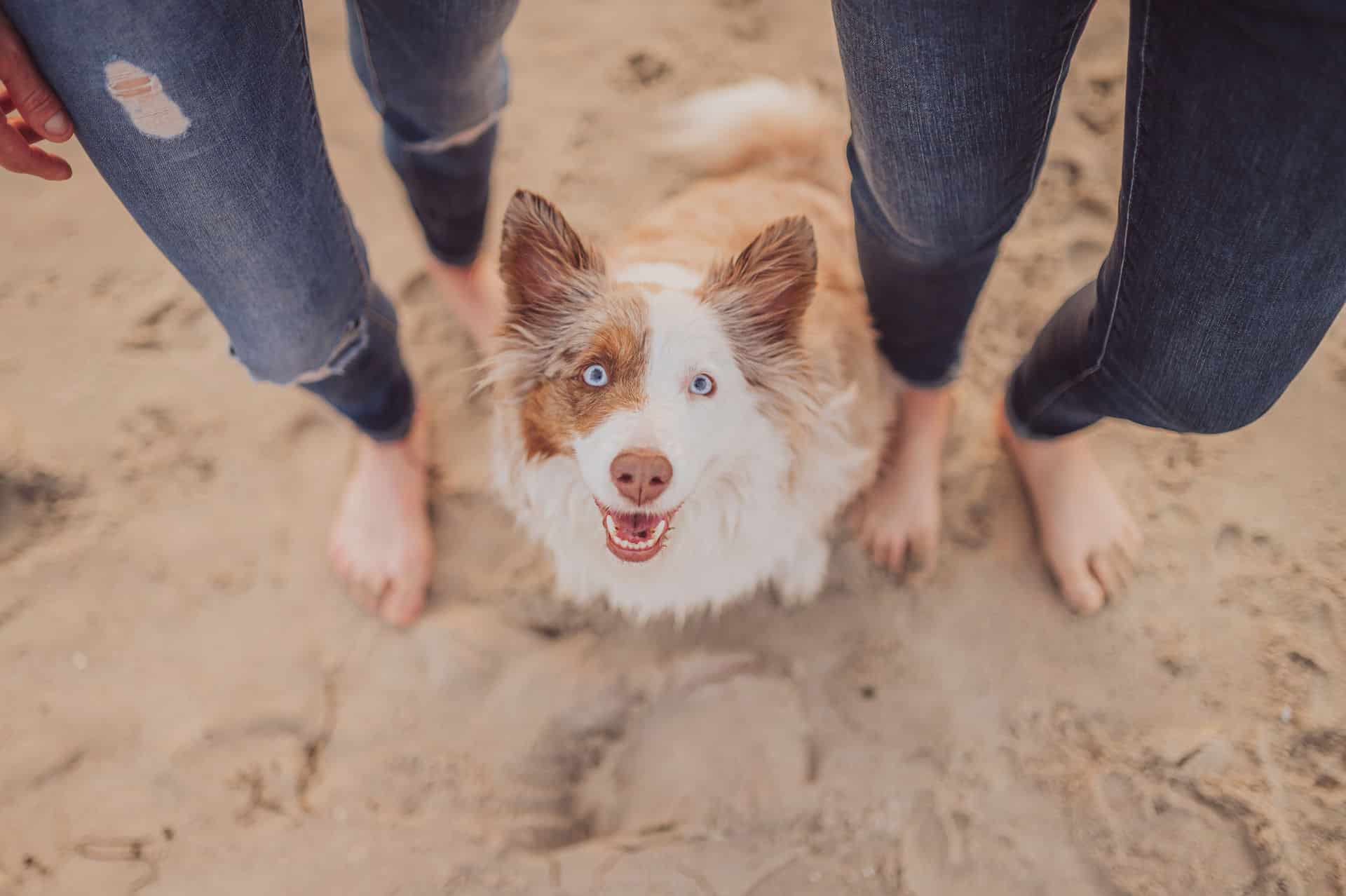 Natürliches Fotoshooting mit Hund und Partnerin am Strand