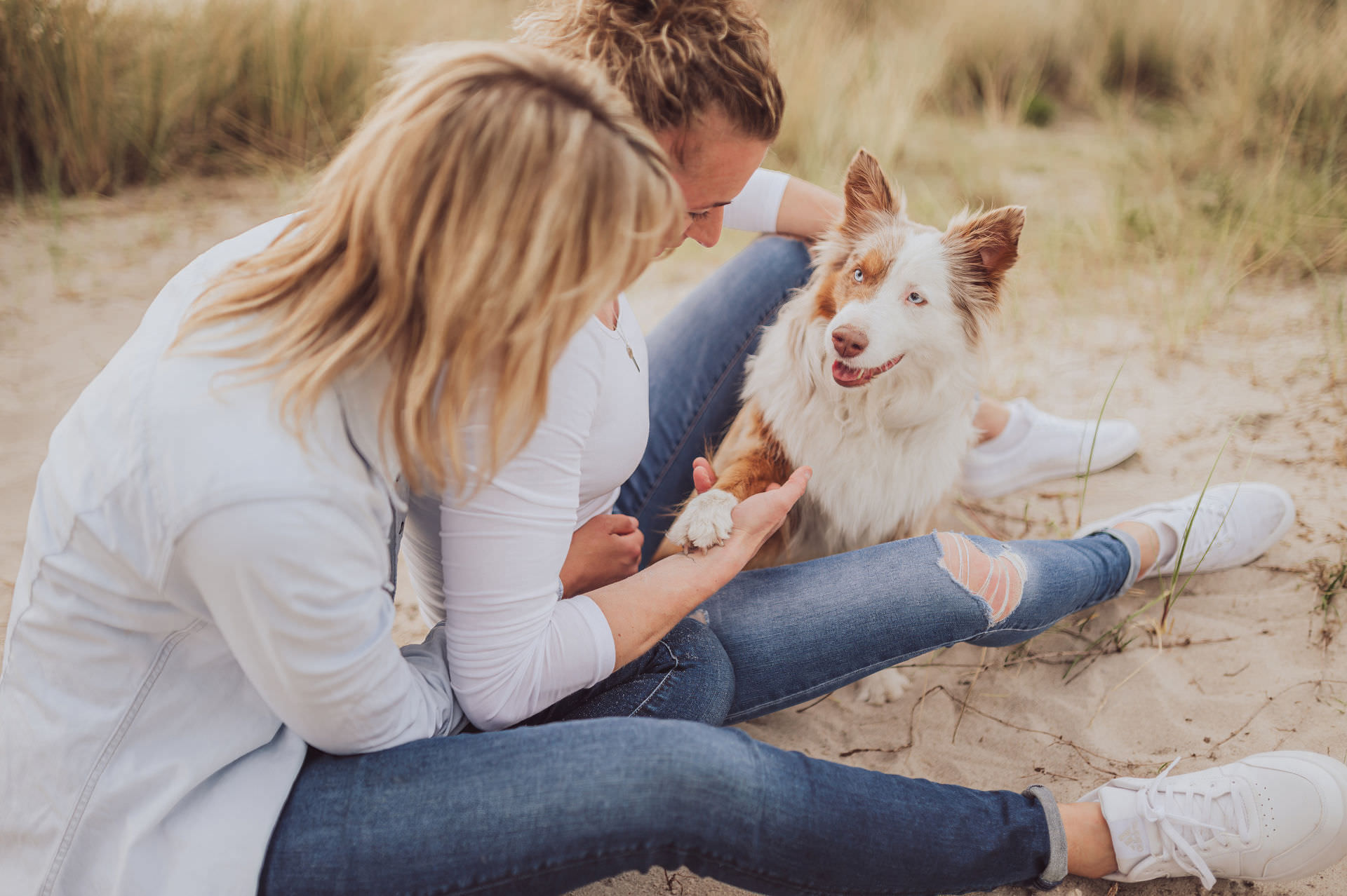 Erinnerungen mit Hund schaffen – Fotoshooting für Paare an der Küste