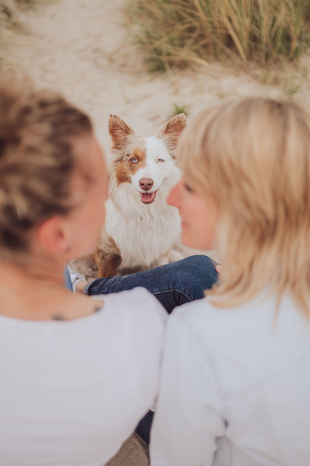 Erinnerungen mit Hund schaffen – Fotoshooting für Paare an der Küste