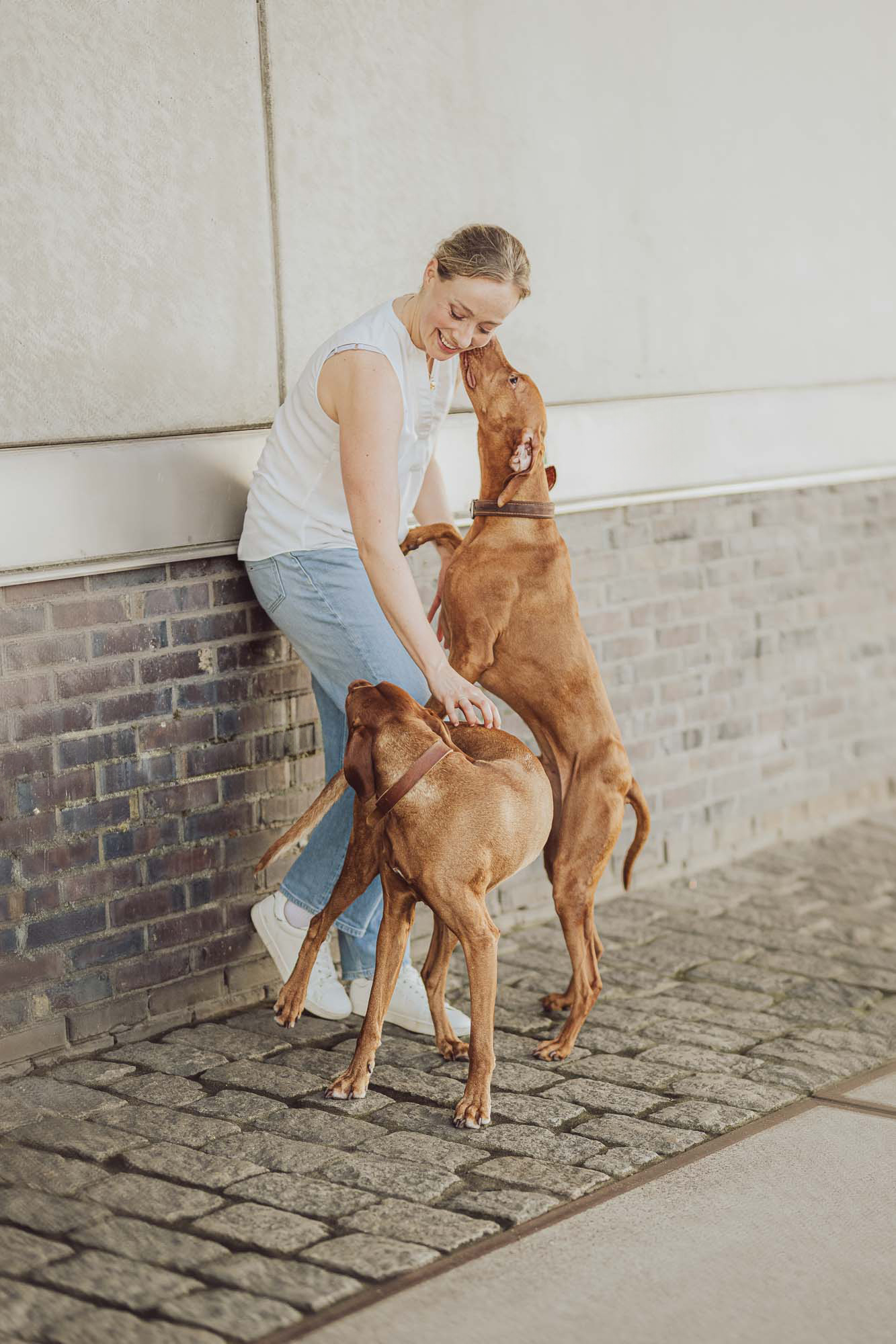 Hundefotograf-Hamburg-Viszla-Fotoshooting-Hund-Hafecity-Speicherstadt Hundefotograf in Hamburg, Speicherstadt und HafenCity - Fotoshooting mit Viszla