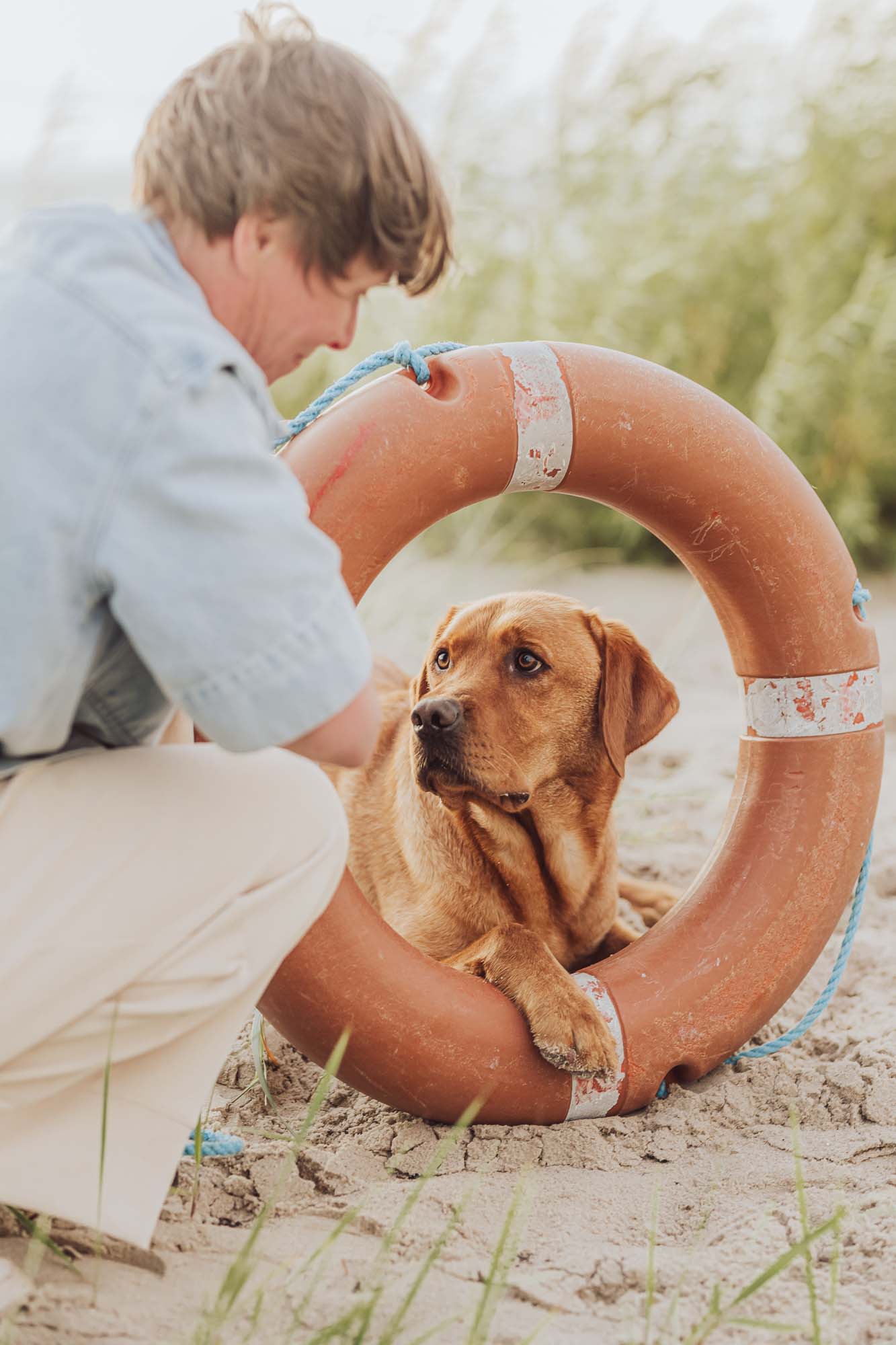 Fotoshooting mit Labrador in Kiel - Hundefotograf für Ostsee Urlaub mit Hund