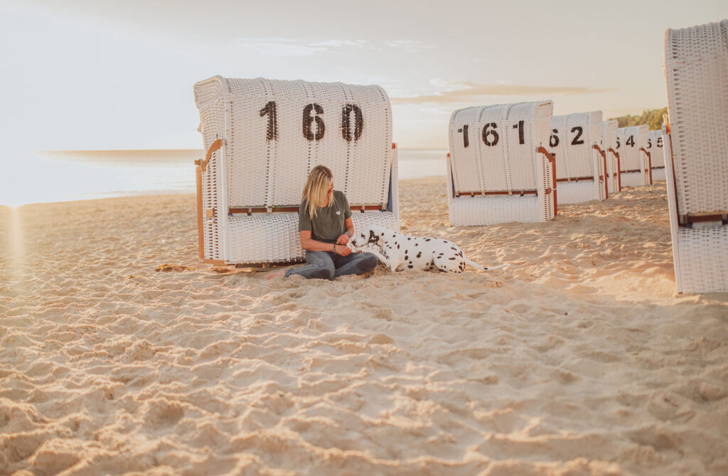 Hundefotografie Rügen – Dalmatiner beim Fotoshooting am Meer