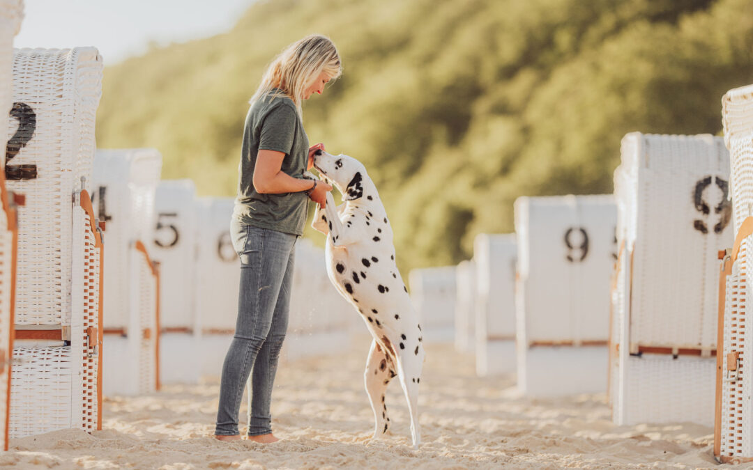 Urlaub Insel Rügen mit Hund