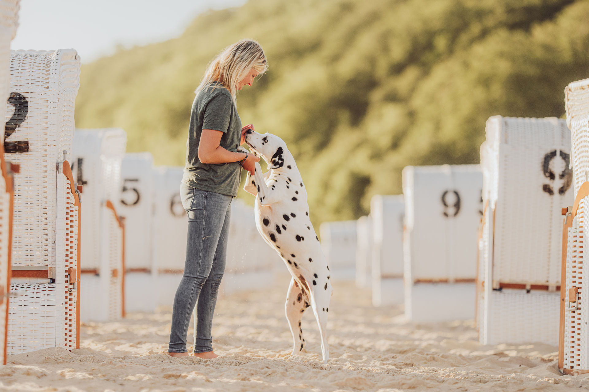 Urlaub auf Rügen mit Hund – Dalmatiner am Strand von Göhren