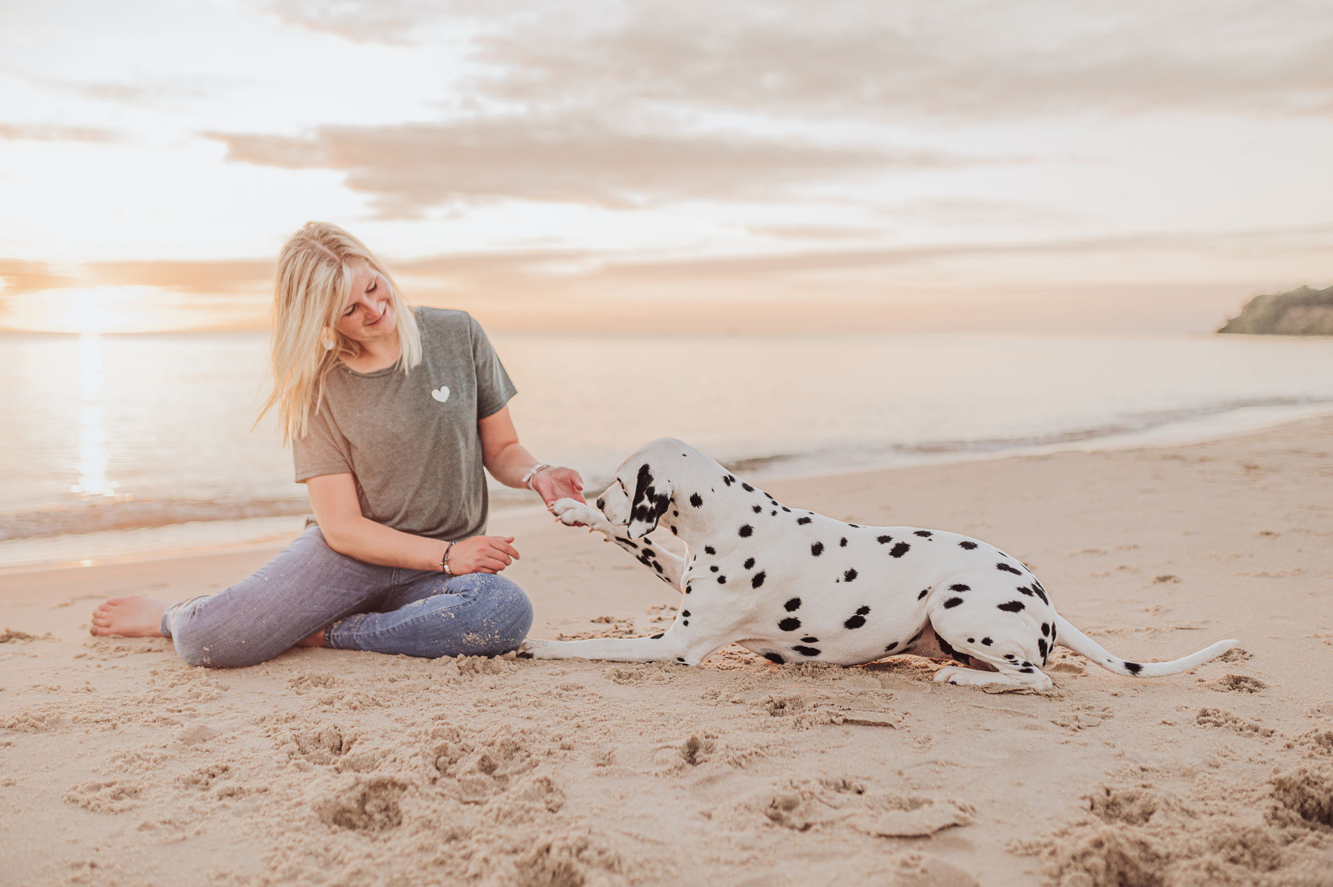 Hund im Sonnenaufgang am Ostseestrand – Göhren mit Dalmatiner<br />
