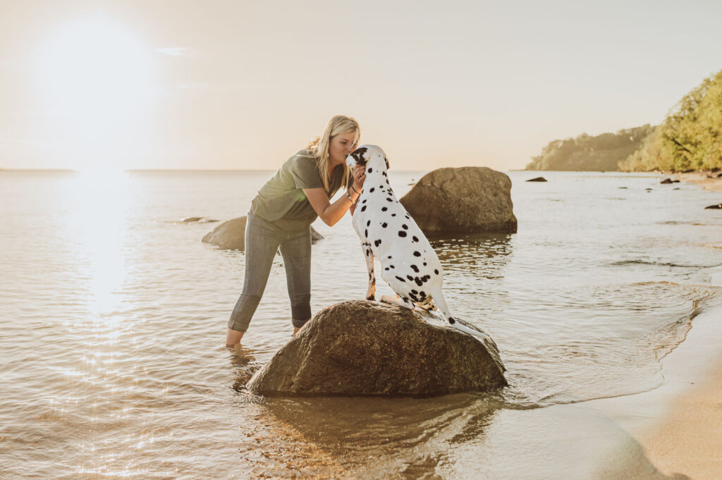 Urlaub auf Rügen mit Hund – Dalmatiner am Strand von Göhren