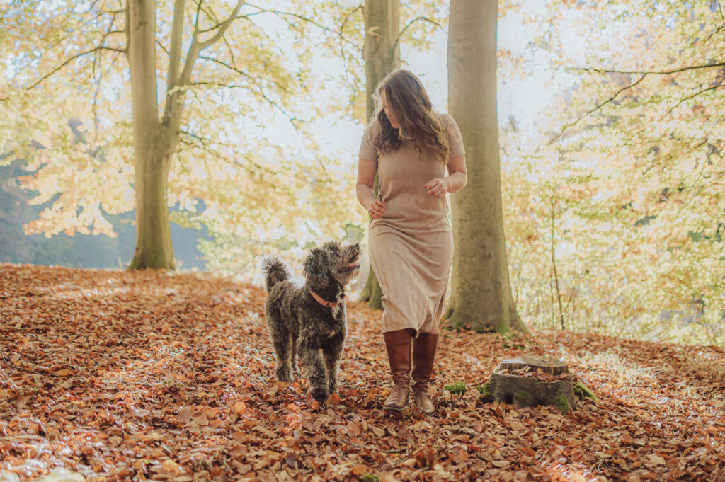 Hund im bunten Herbstlaub – natürliches Fotoshooting im Herbst