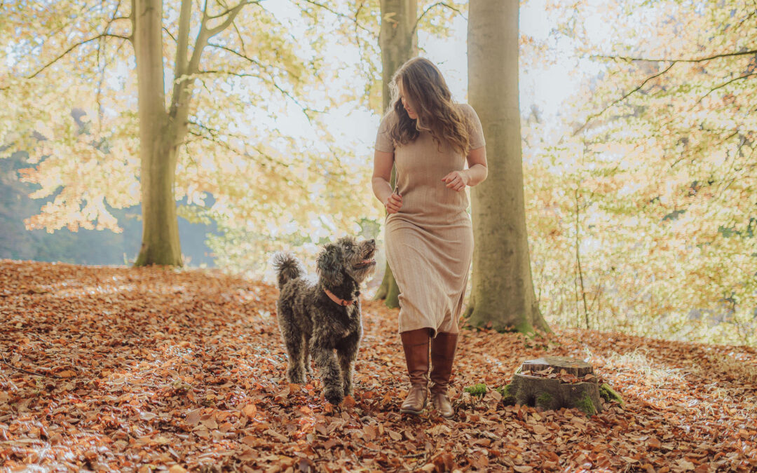 5 Gründe, warum der Herbst perfekt für dein Fotoshooting mit Hund ist