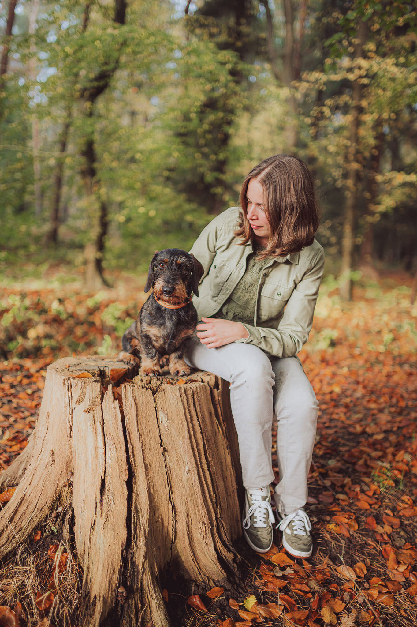 5 Gründe, warum der Herbst perfekt für dein Fotoshooting mit Hund ist Fotoshooting mit Hund im Herbstwald – warme Farben & ruhige Stimmung