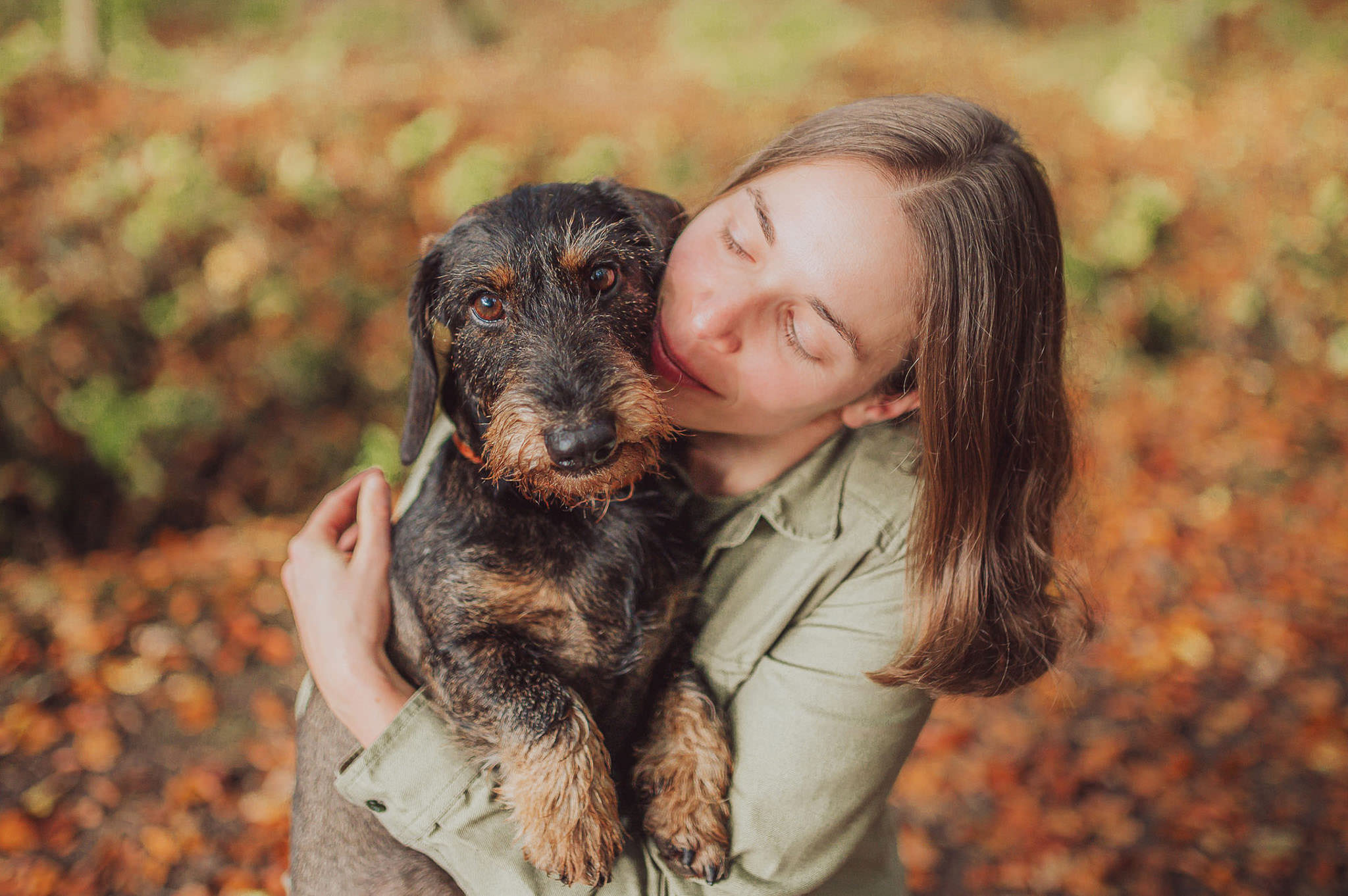 Fotoshooting-Herbst-Hund-Paar-Rostock-Strand-Tierfotograf-17 Fotoshooting mit Hund im Herbstwald – warme Farben & ruhige Stimmung