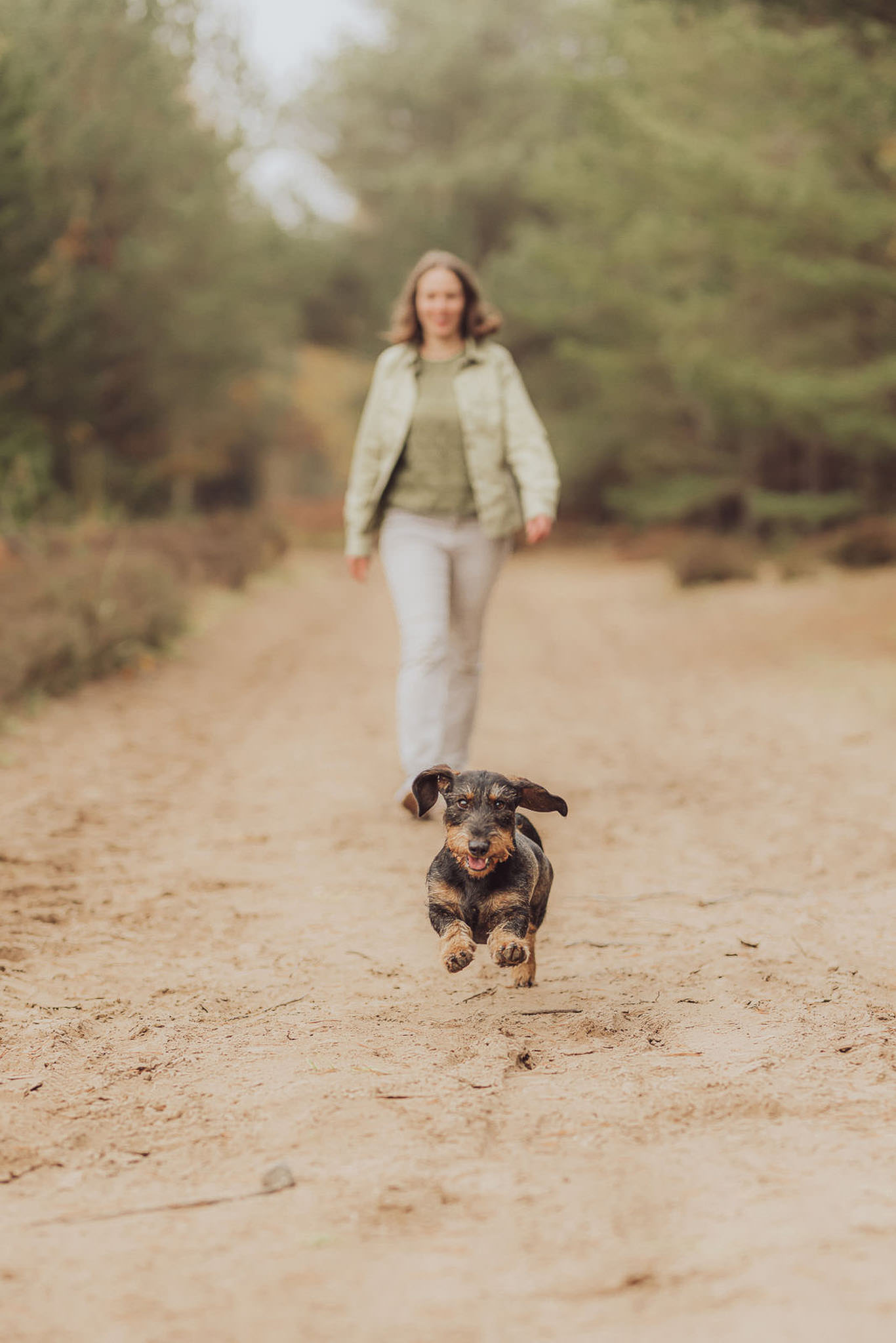 5 Gründe, warum der Herbst perfekt für dein Fotoshooting mit Hund ist Fotoshooting mit Dackel im Herbstwald – warme Farben & ruhige Stimmung
