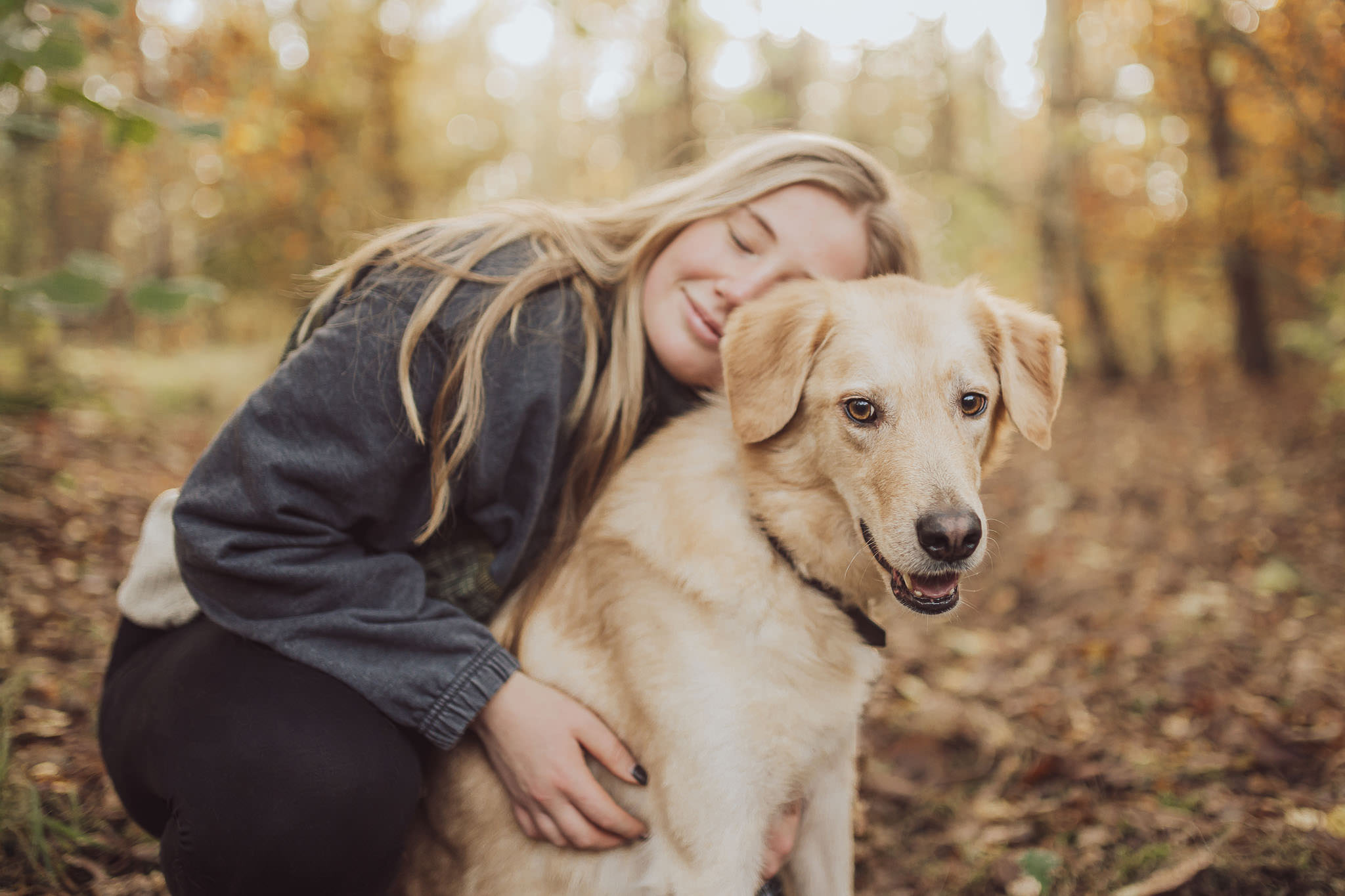 5 Gründe, warum der Herbst perfekt für dein Fotoshooting mit Hund ist Sonnenuntergang mit Hund im Herbst – Fotos am Strand in weichem Licht