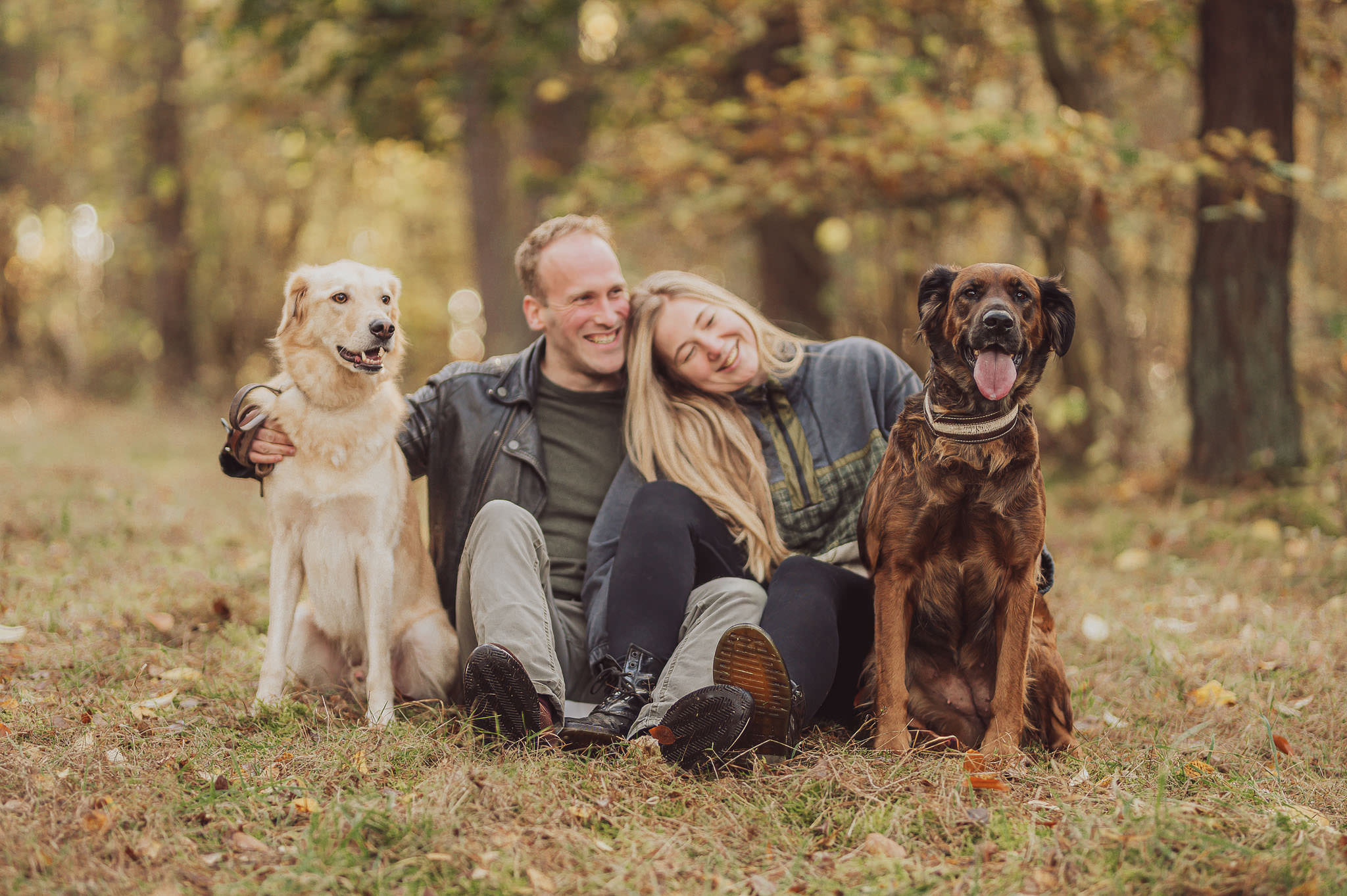 Spaziergang im Laub – Hundefotografie im Herbst