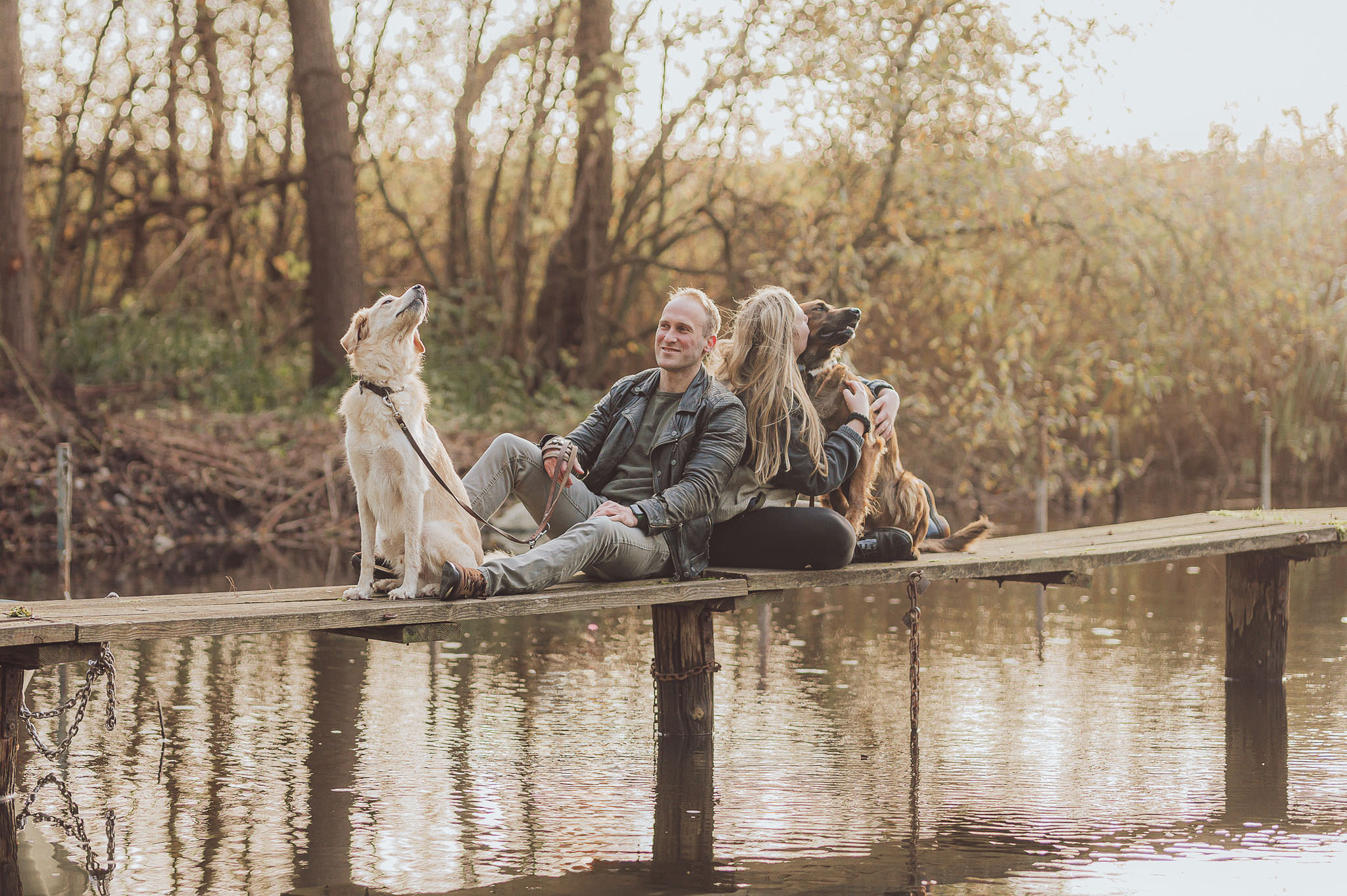 5 Gründe, warum der Herbst perfekt für dein Fotoshooting mit Hund ist Sonnenuntergang mit Hund im Herbst – Fotos am Strand in weichem Licht