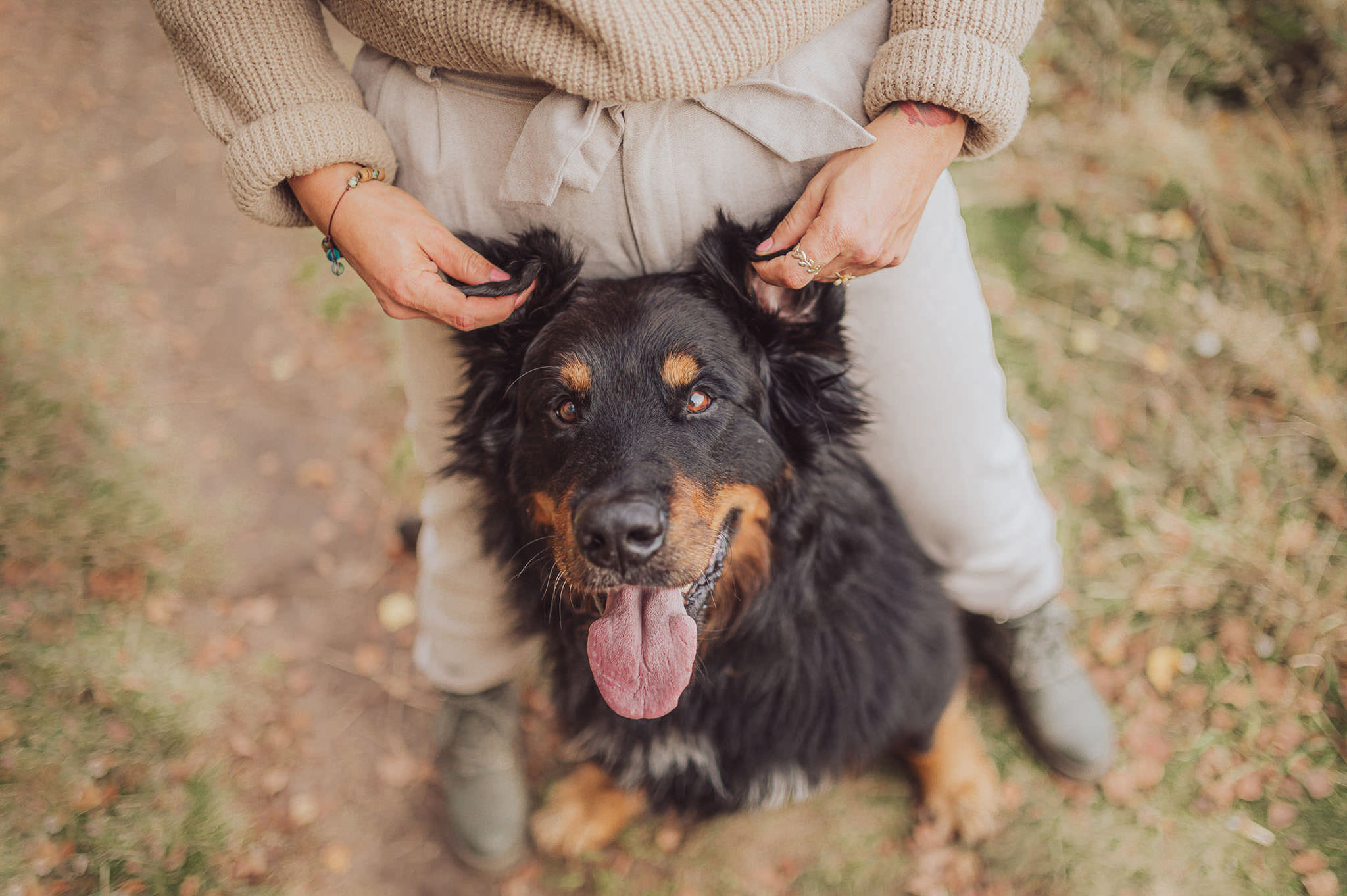Sonnenuntergang mit Hund im Herbst – Fotos am Strand in weichem Licht
