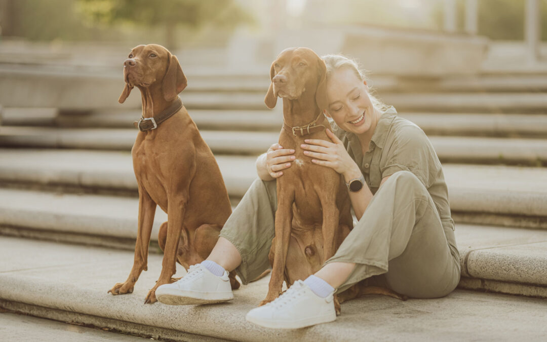 Fotoshooting mit Viszlas in der Speicherstadt Hamburg