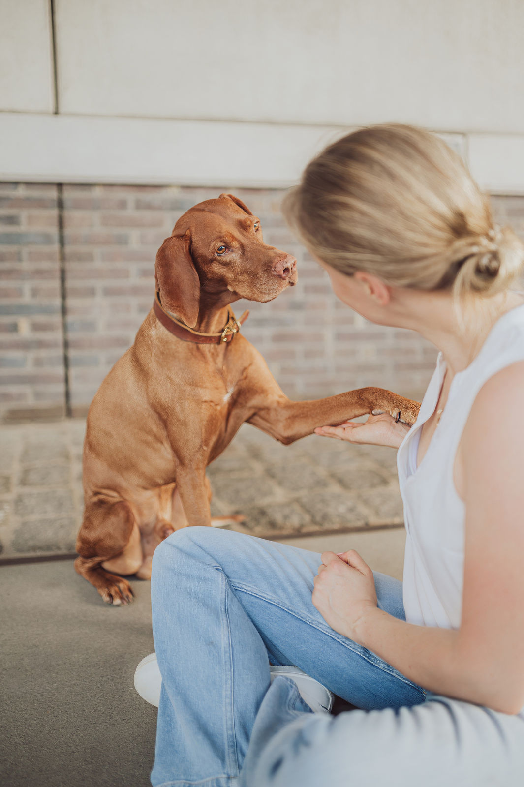 Fotoshooting mit Viszlas in der Speicherstadt Hamburg Peanut & Krümel beim Stadtshooting – ruhige Morgenstimmung in Hamburg