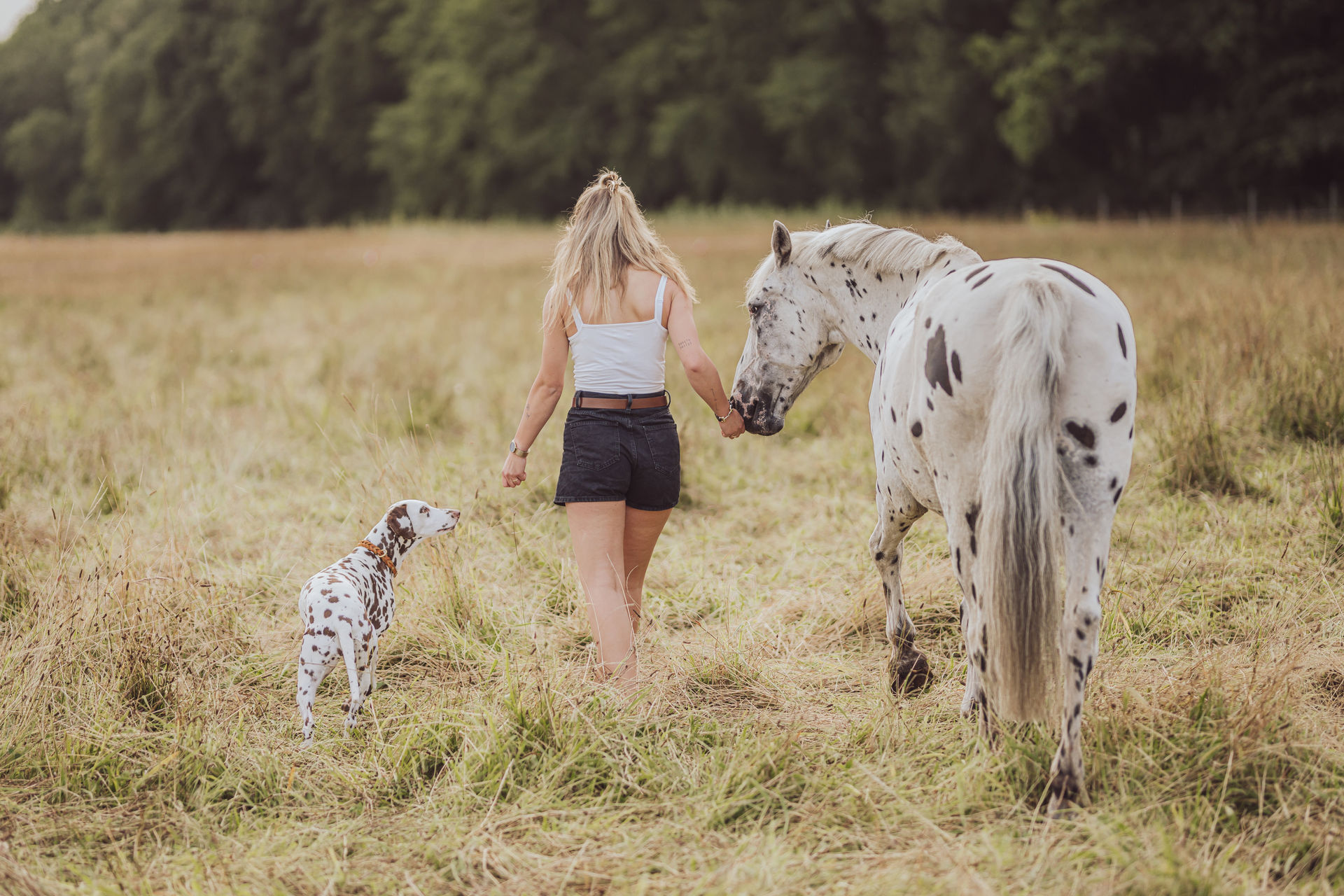 Pferdefotoshooting mit Hund – Celina, Banu & Onkel Pferdefotoshooting mit Hund – Celina mit Dalmatiner Banu und Wallach Onkel