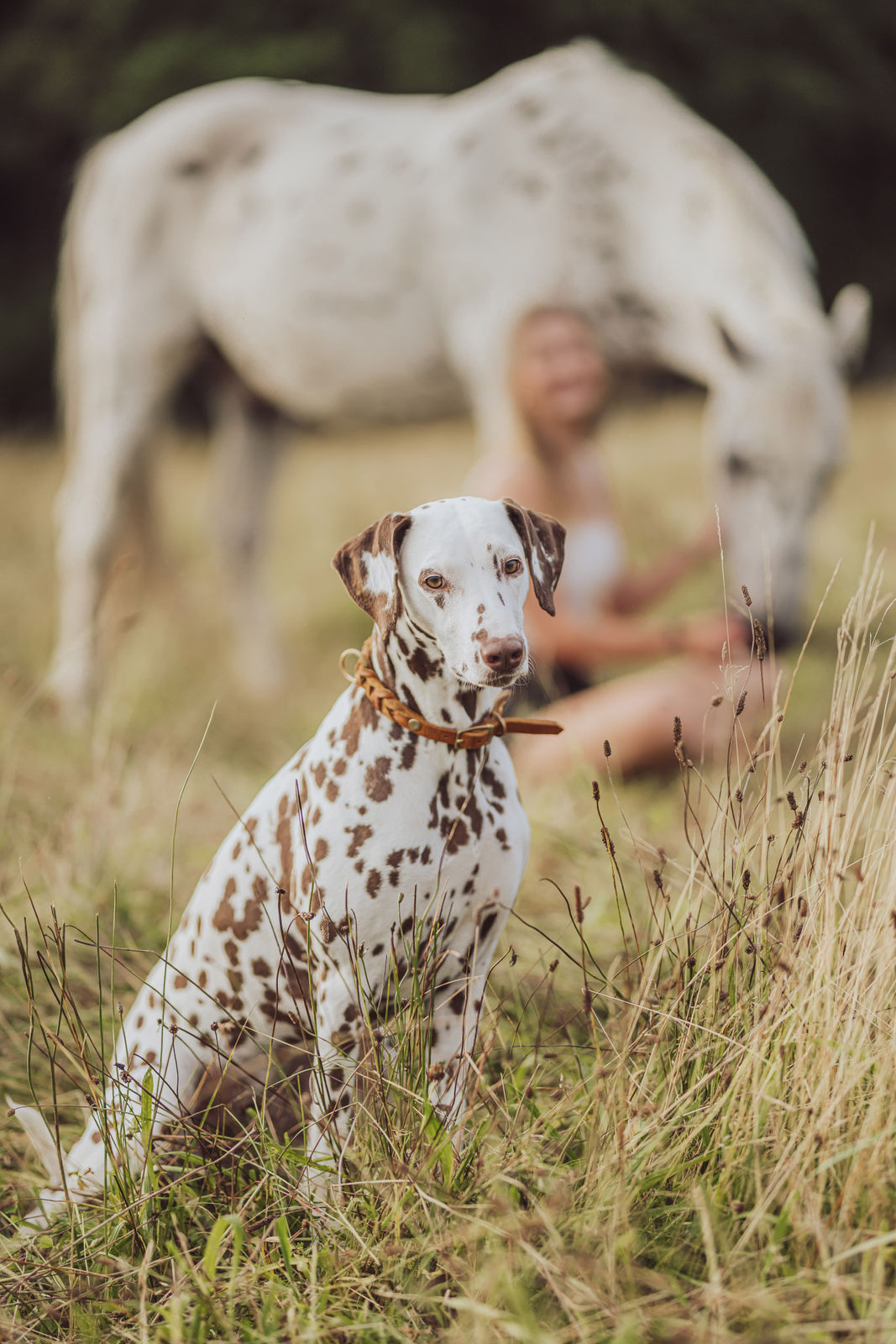 Pferdefotoshooting mit Hund – Celina, Banu & Onkel Bindung zwischen Pferd und Mensch – emotionale Momentaufnahme