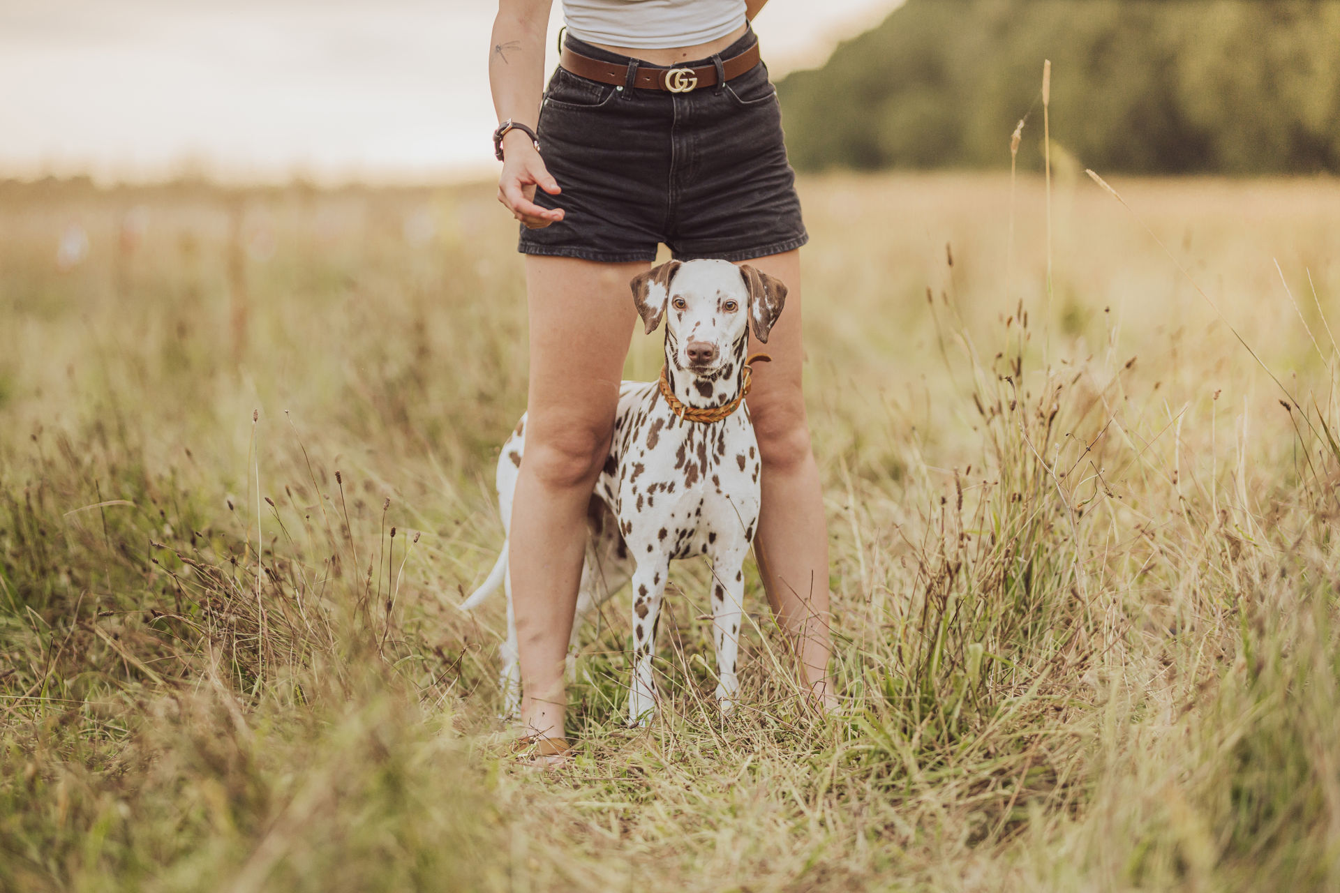 Pferdefotoshooting mit Hund – Celina, Banu & Onkel Natürliches Fotoshooting mit Pferd und Hund auf der Weide