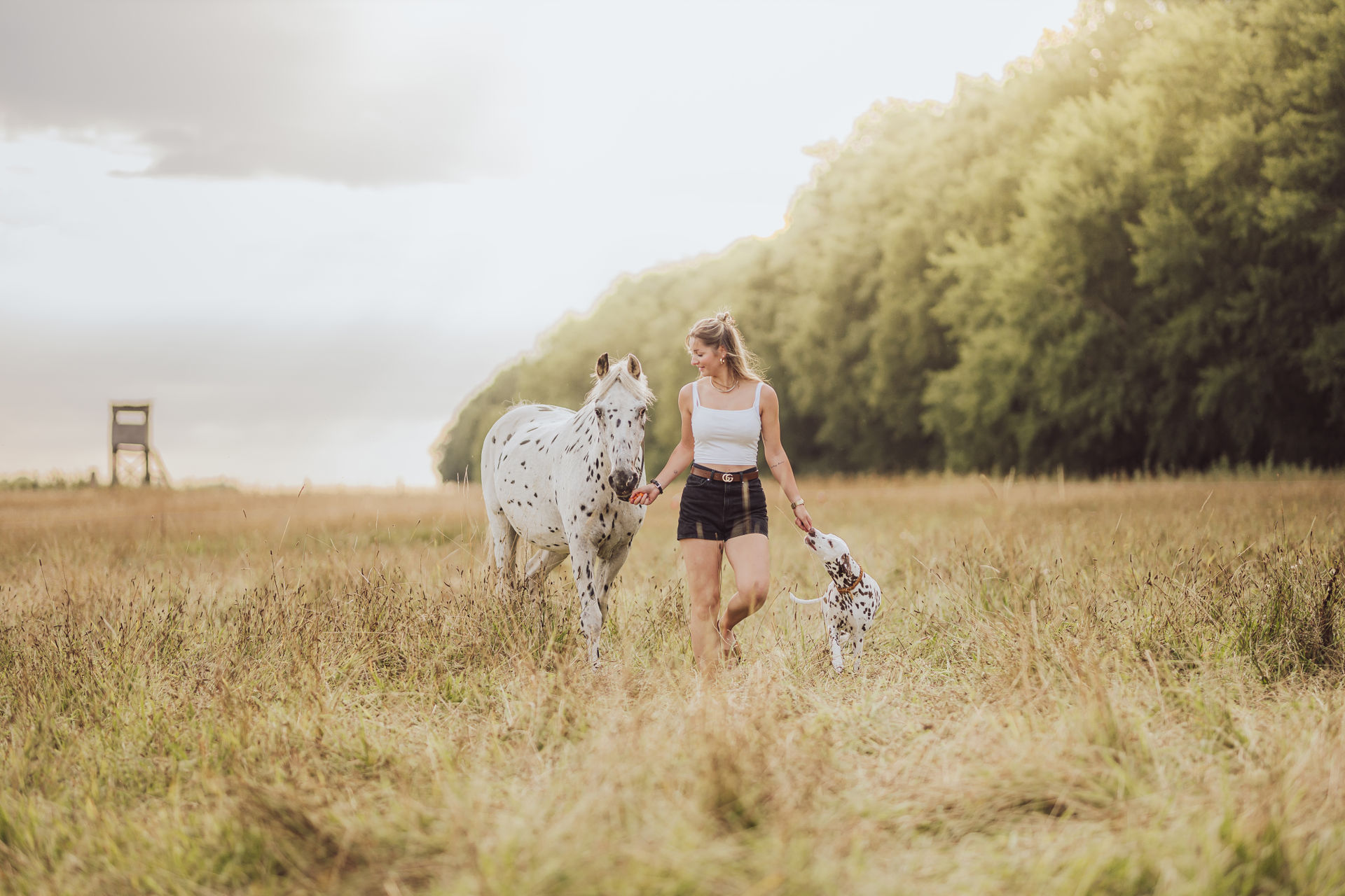 Pferdefotoshooting mit Hund – Celina, Banu & Onkel Fotoshooting mit Pferd und Hund in Mecklenburg-Vorpommern