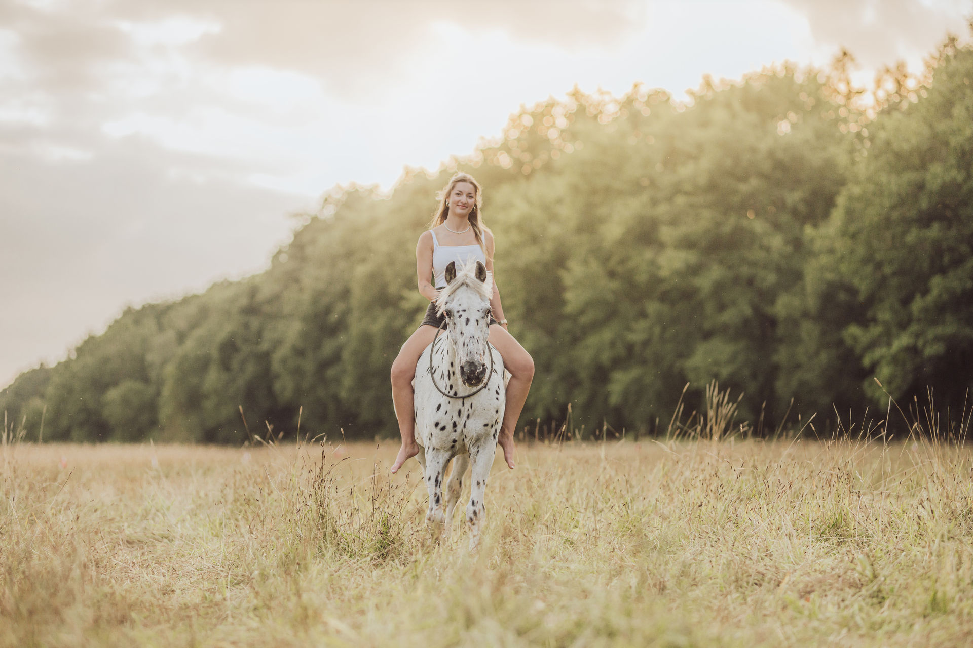 Fotoshooting mit Pferd und Hund in Mecklenburg-Vorpommern