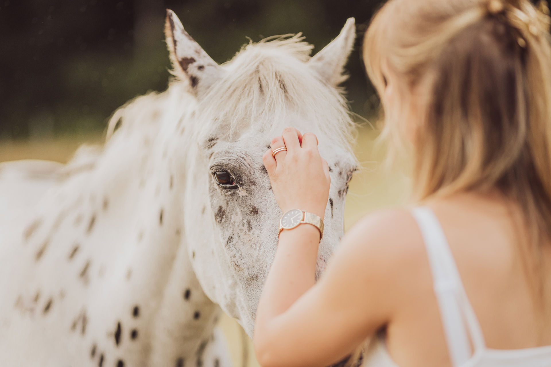 Pferdefotografie mit Hund – Celina streichelt Onkel liebevoll