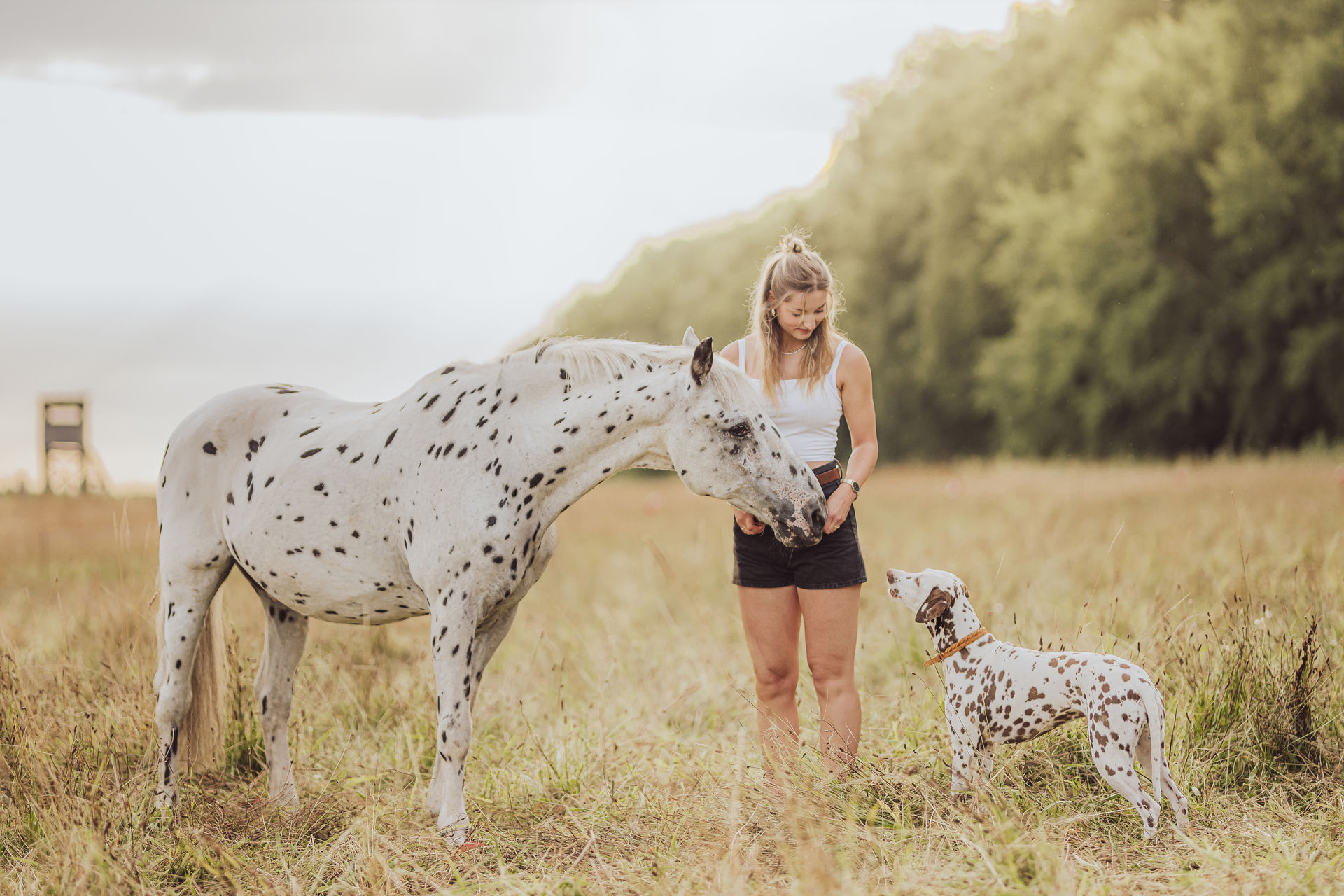 Pferdefotoshooting mit Hund – Celina, Banu & Onkel Fotoshooting mit Pferd und Hund in Mecklenburg-Vorpommern