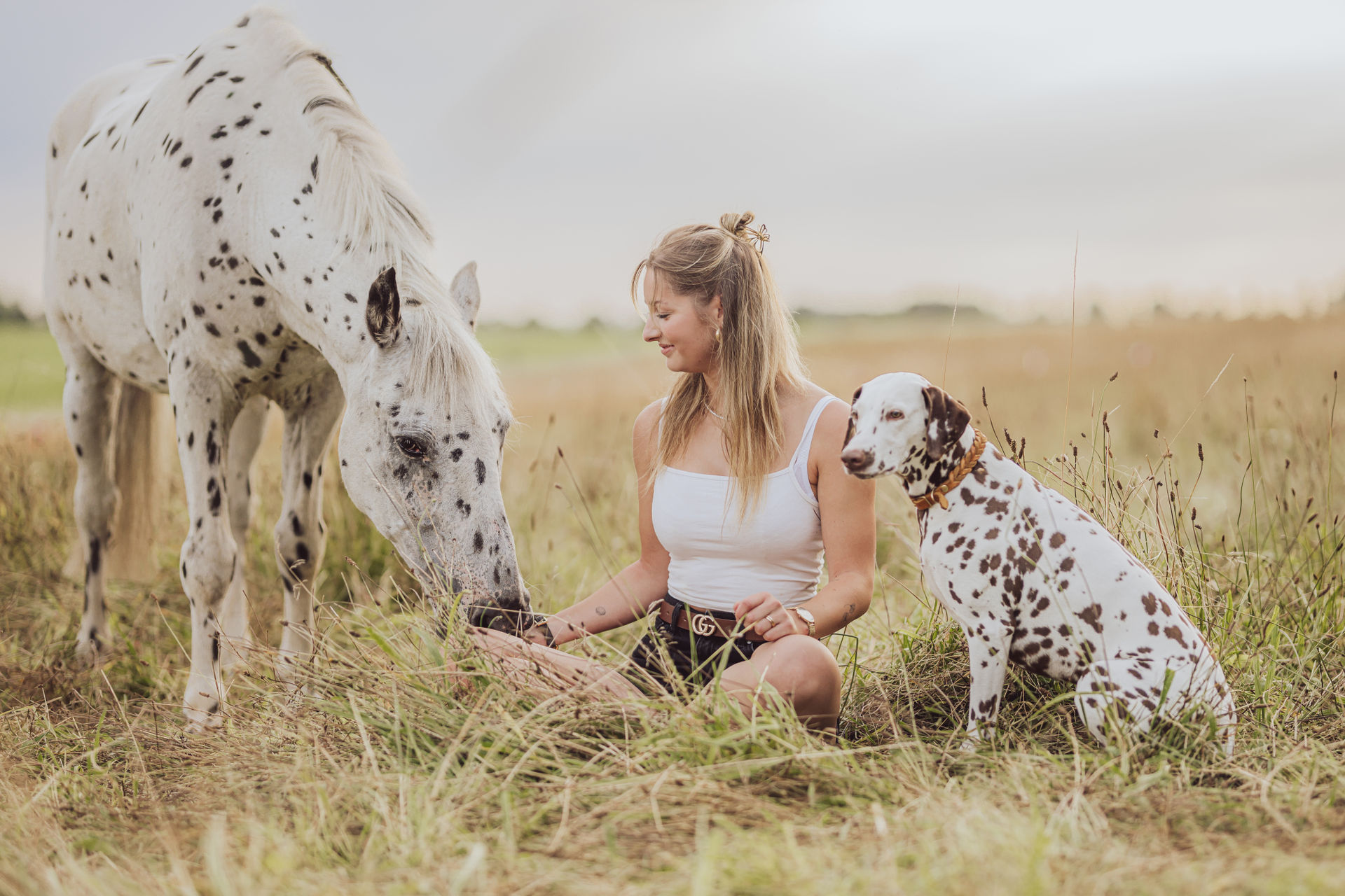 Natürliches Tierfotoshooting mit Hund & Pferd in MV